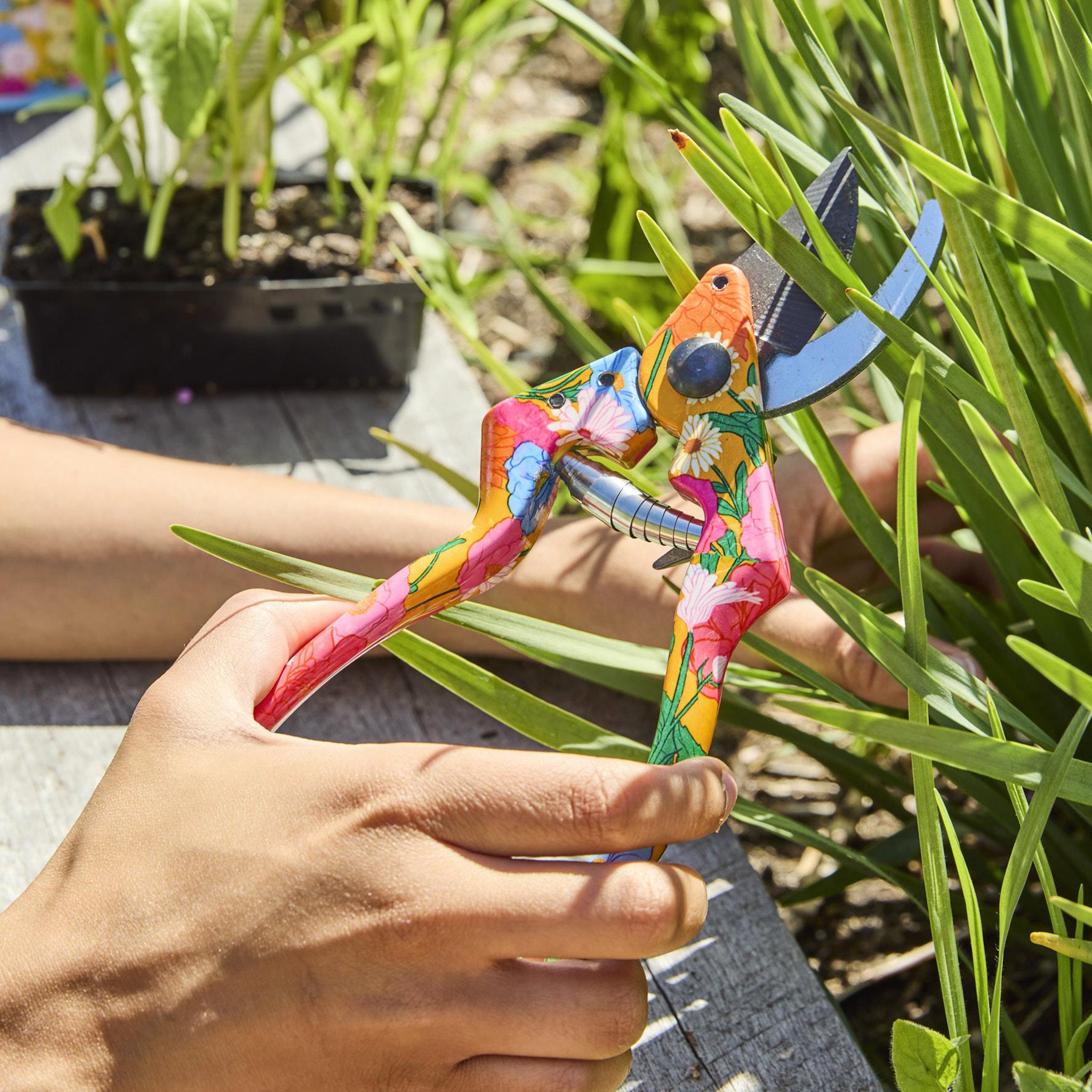 Colorful garden shears held by a person with plants in the background