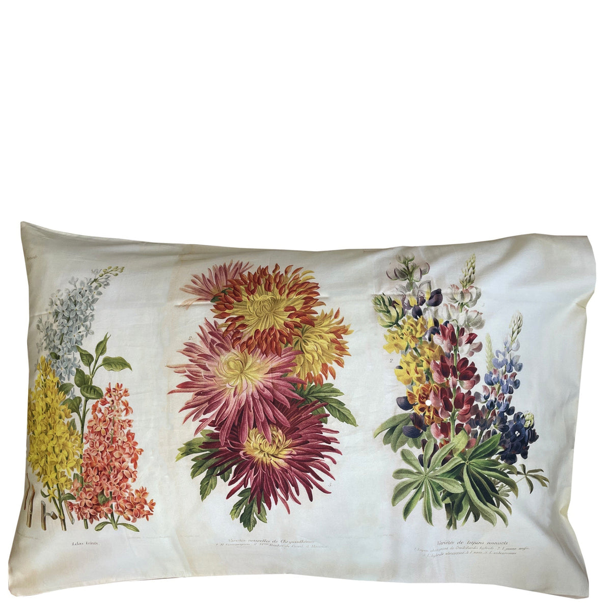 Lazybones Organic Cotton Pillowslip Set - Horticole