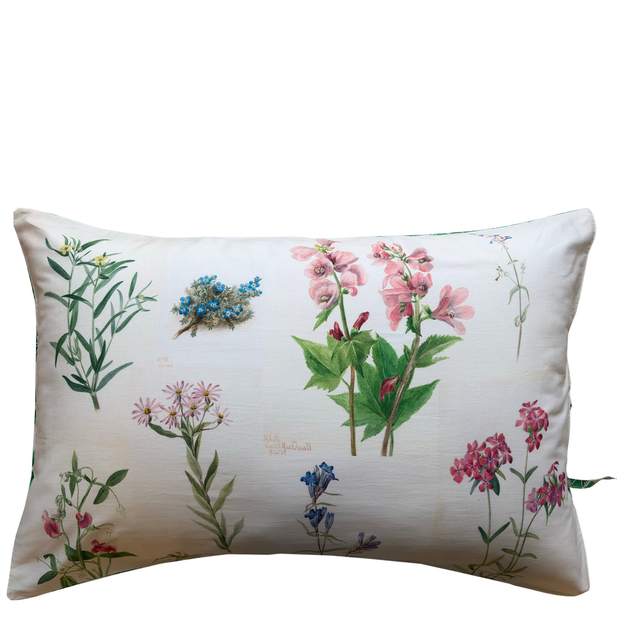 Lazybones Organic Cotton Pillowslip Set - Mary VW