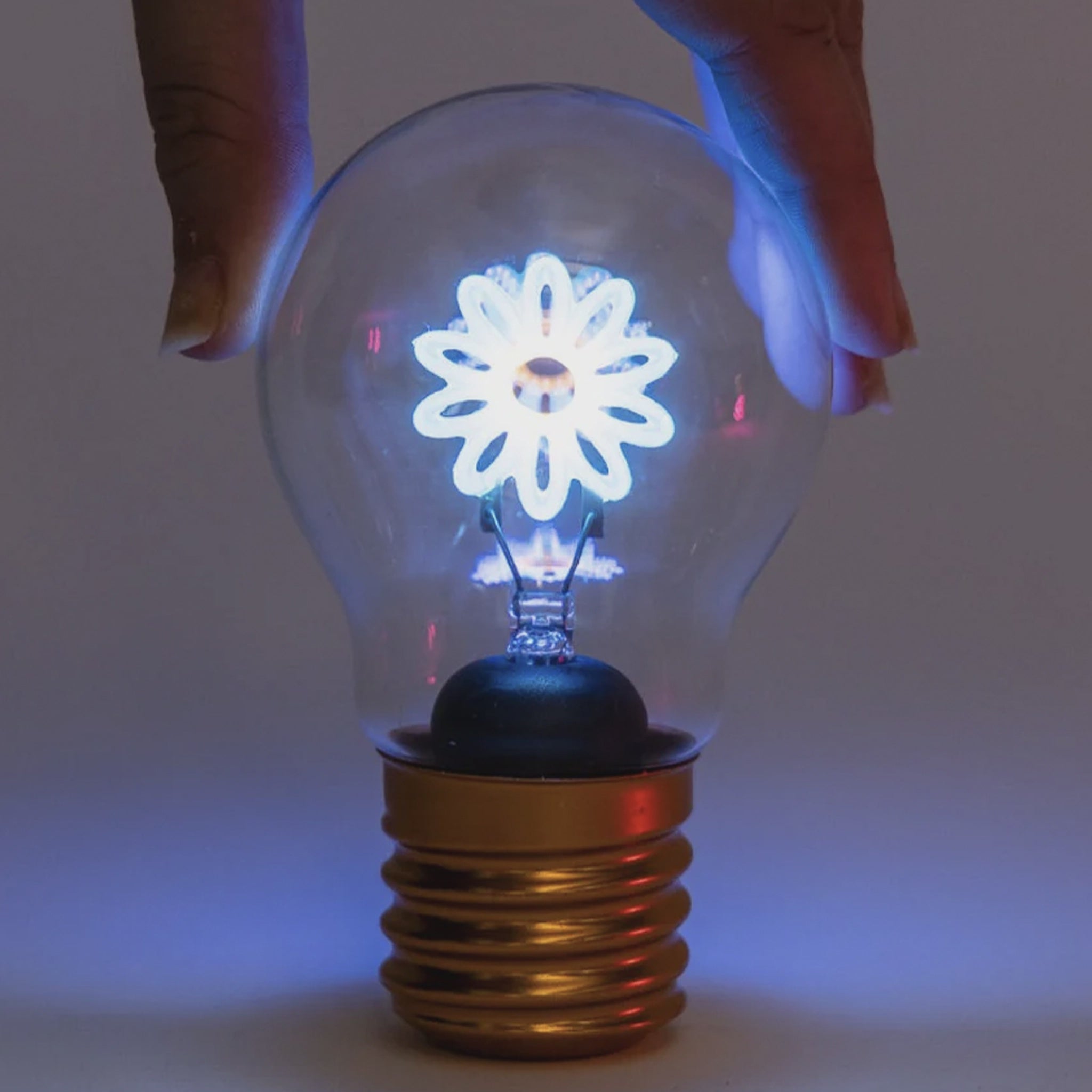 Decorative light bulb with a floral design inside, held by a hand against a dark background.