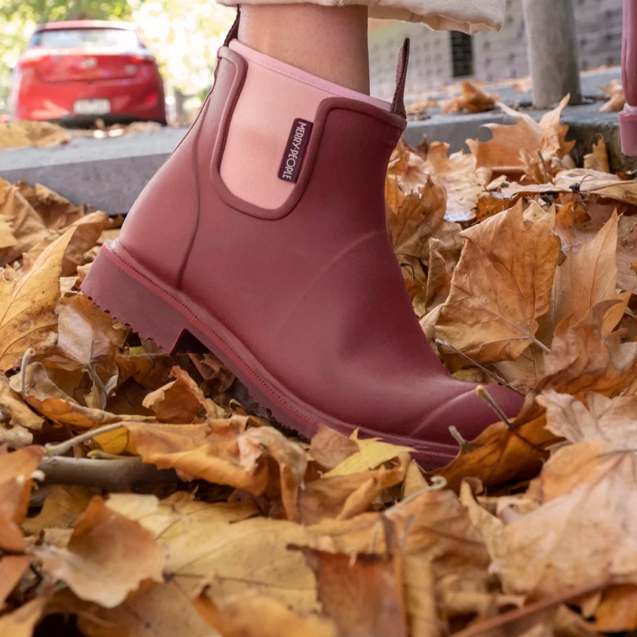 Merry People Bobbi Ankle Boots - Beetroot & Light Pink