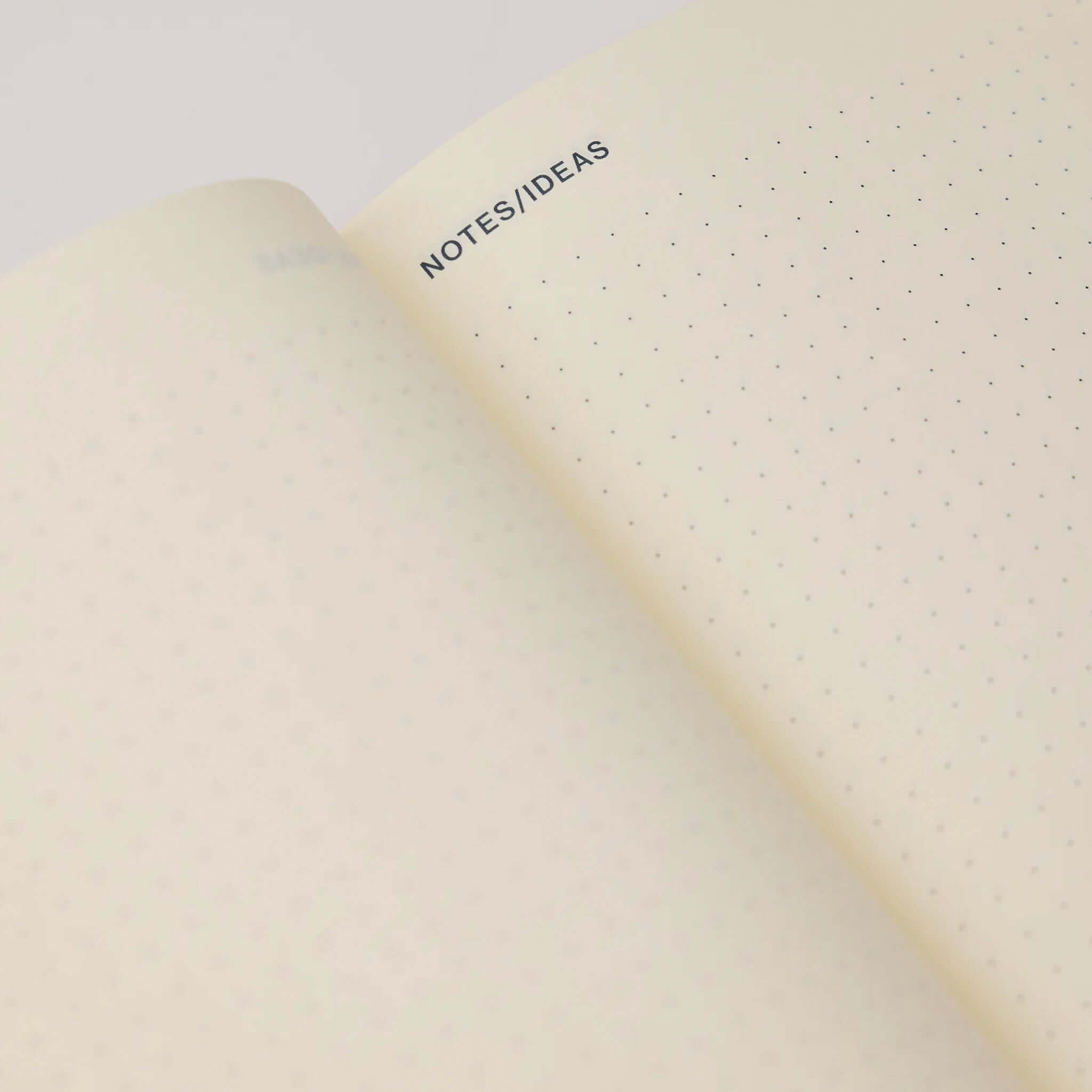 Milligram Any Day Now 2027 Weekly Achiever - Pink & Navy interior page showing notes/ideas section.