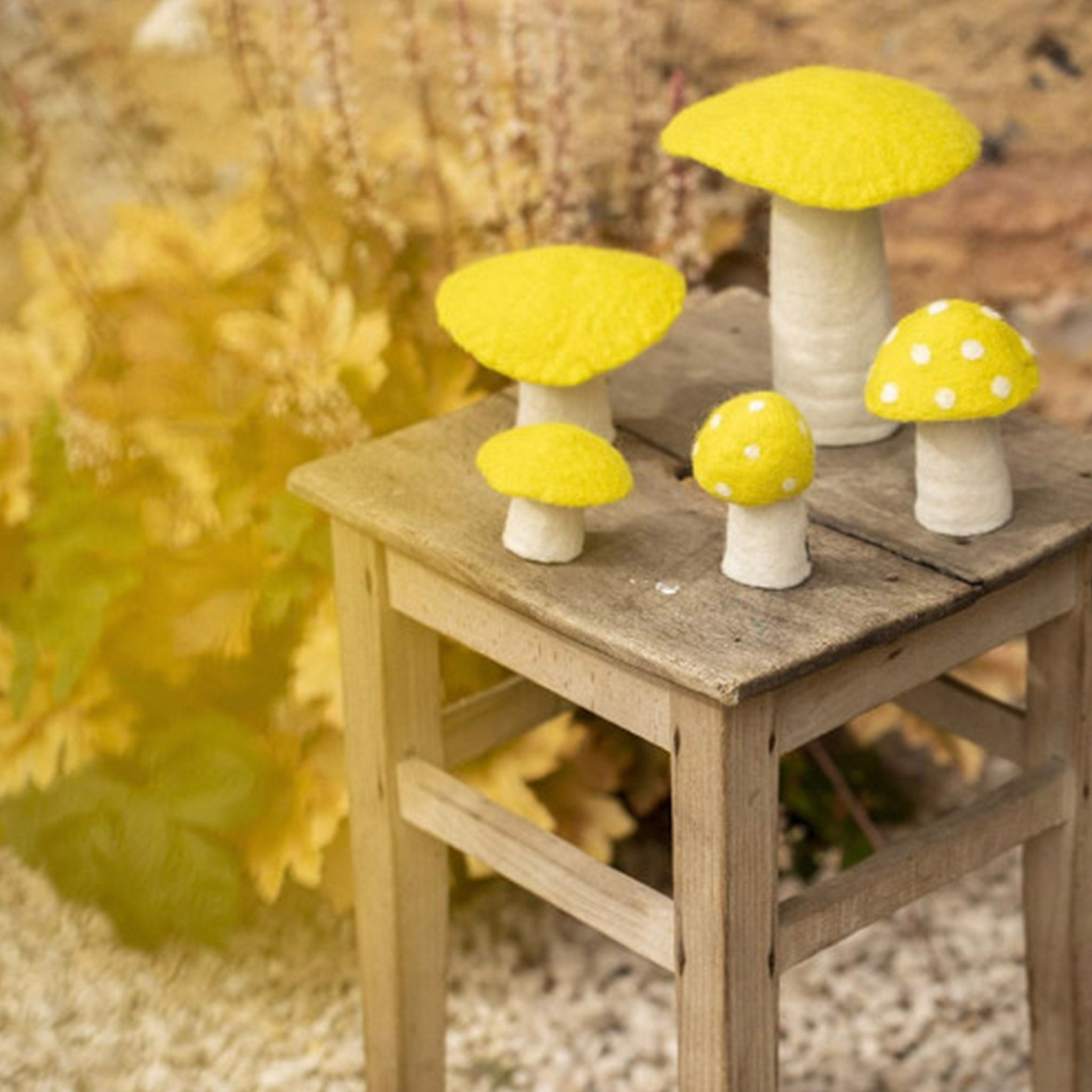 Muskhane Felt Mushroom - Small Sulphur Flower