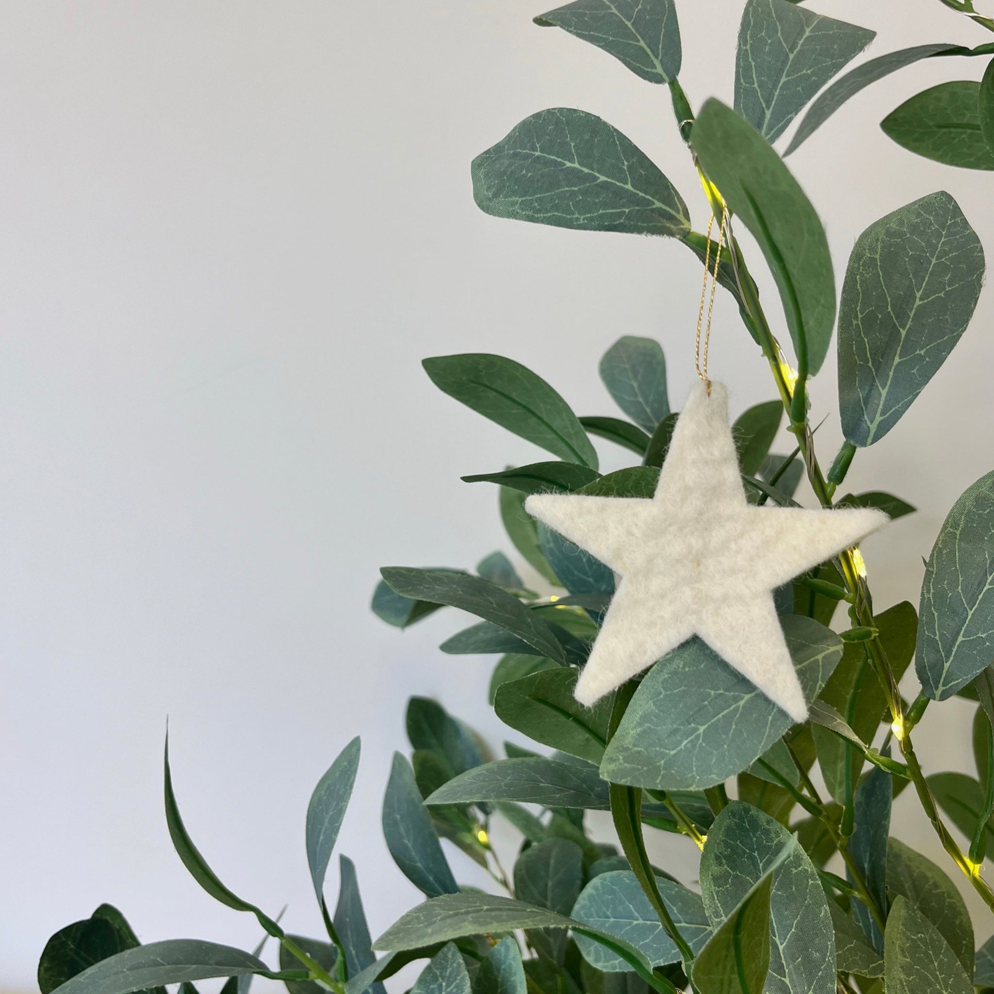 Muskhane Felt Festive Star Set - Natural