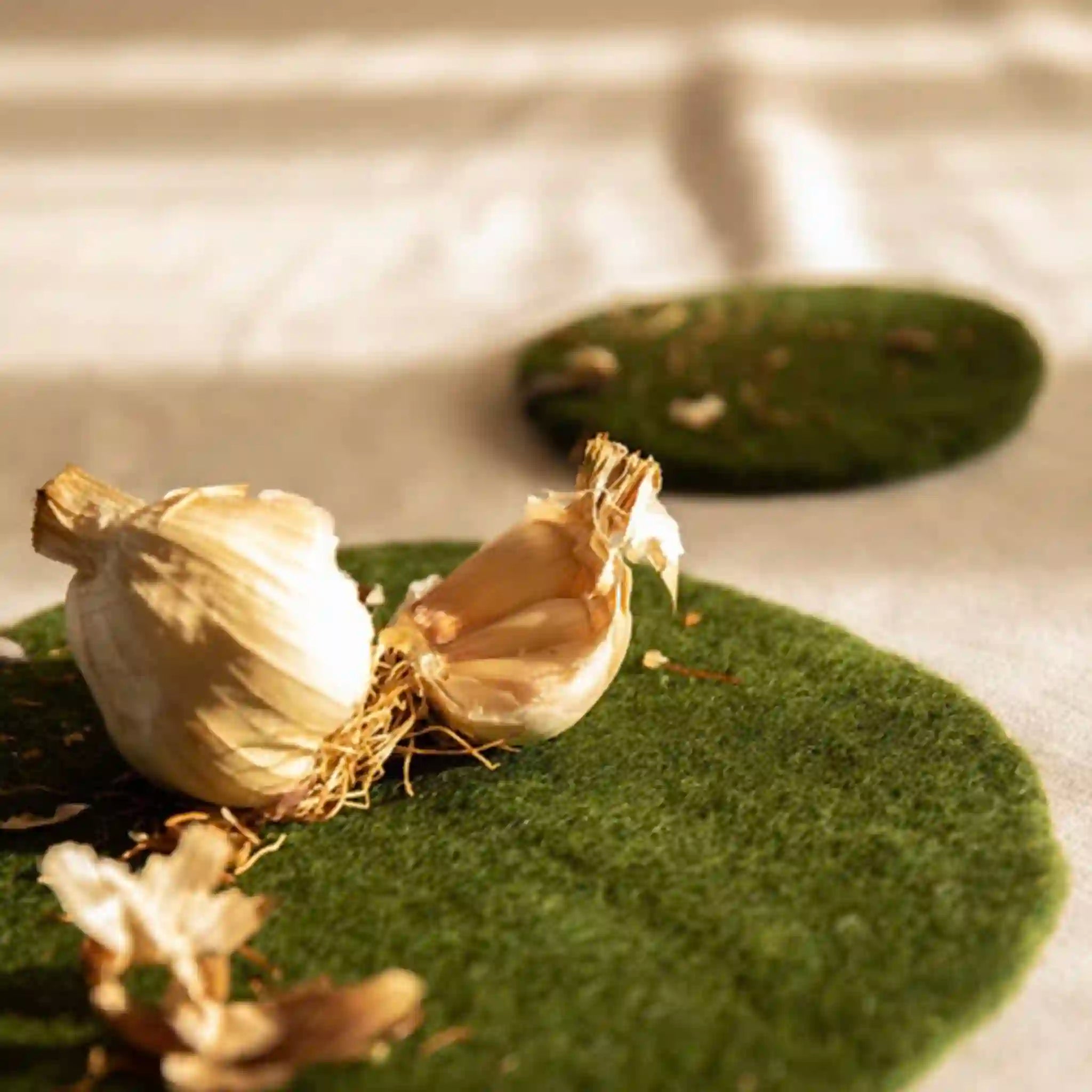 Garlic bulb on a green coaster with a blurred background