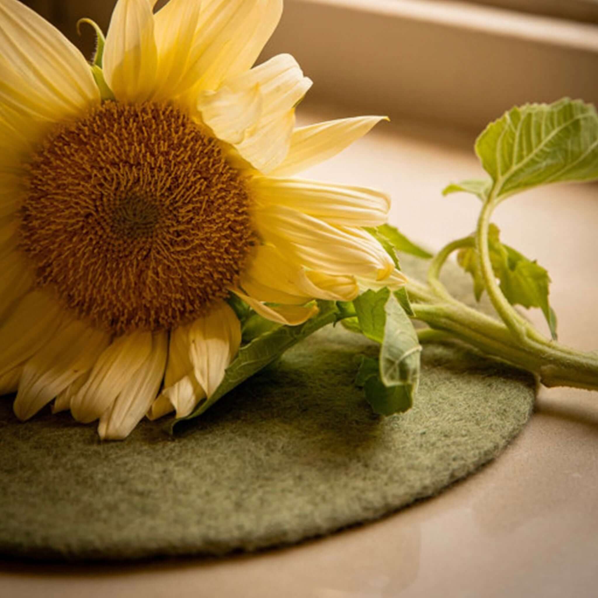 Muskhane Felt Plain Round Placemat - Sage Large with sunflower blooms on a countertop.