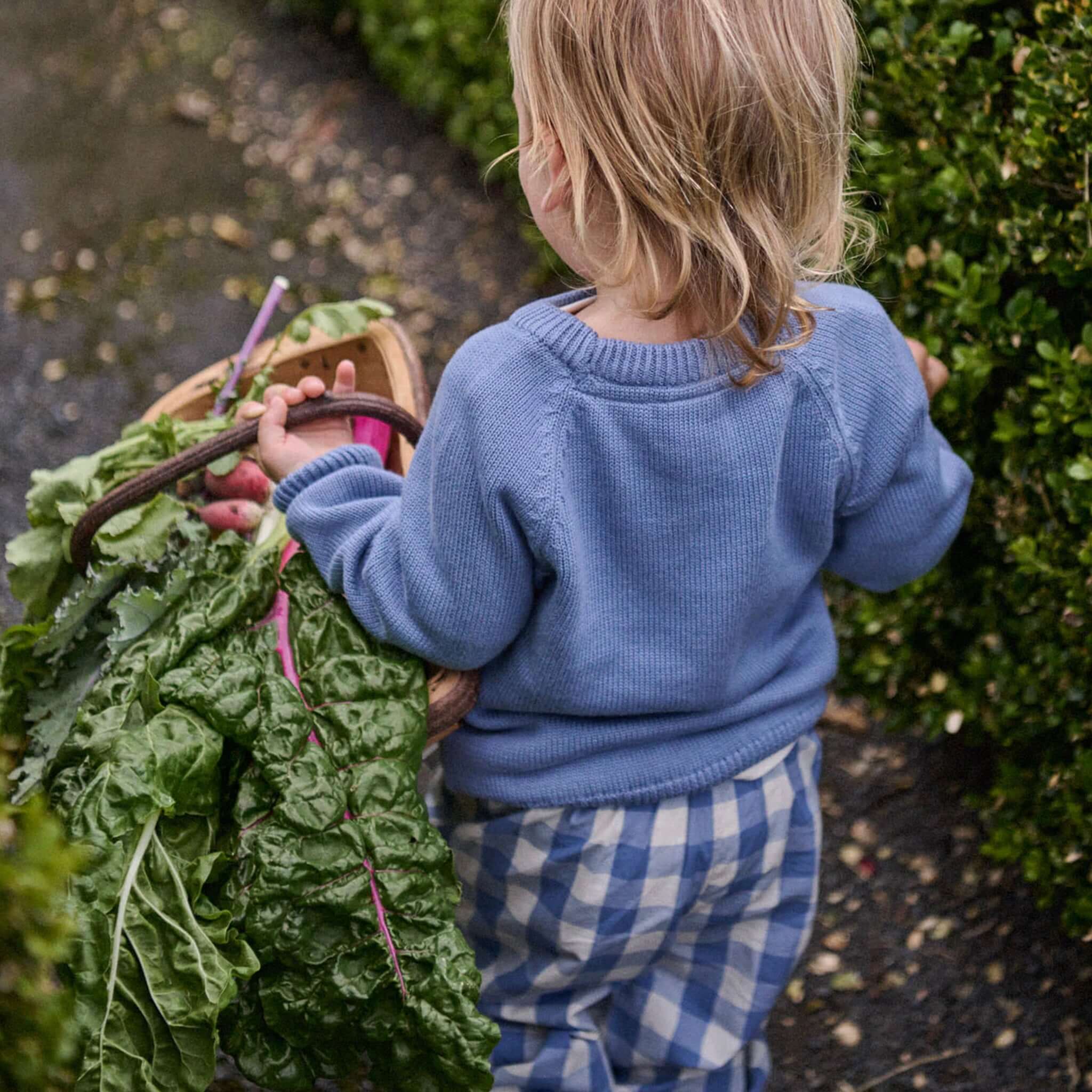 Alt Tag: Nature Baby Organic Cotton Basket Knit Billy Jumper - Vintage Dusky Blue Cable on toddler outdoors with basket of leafy greens