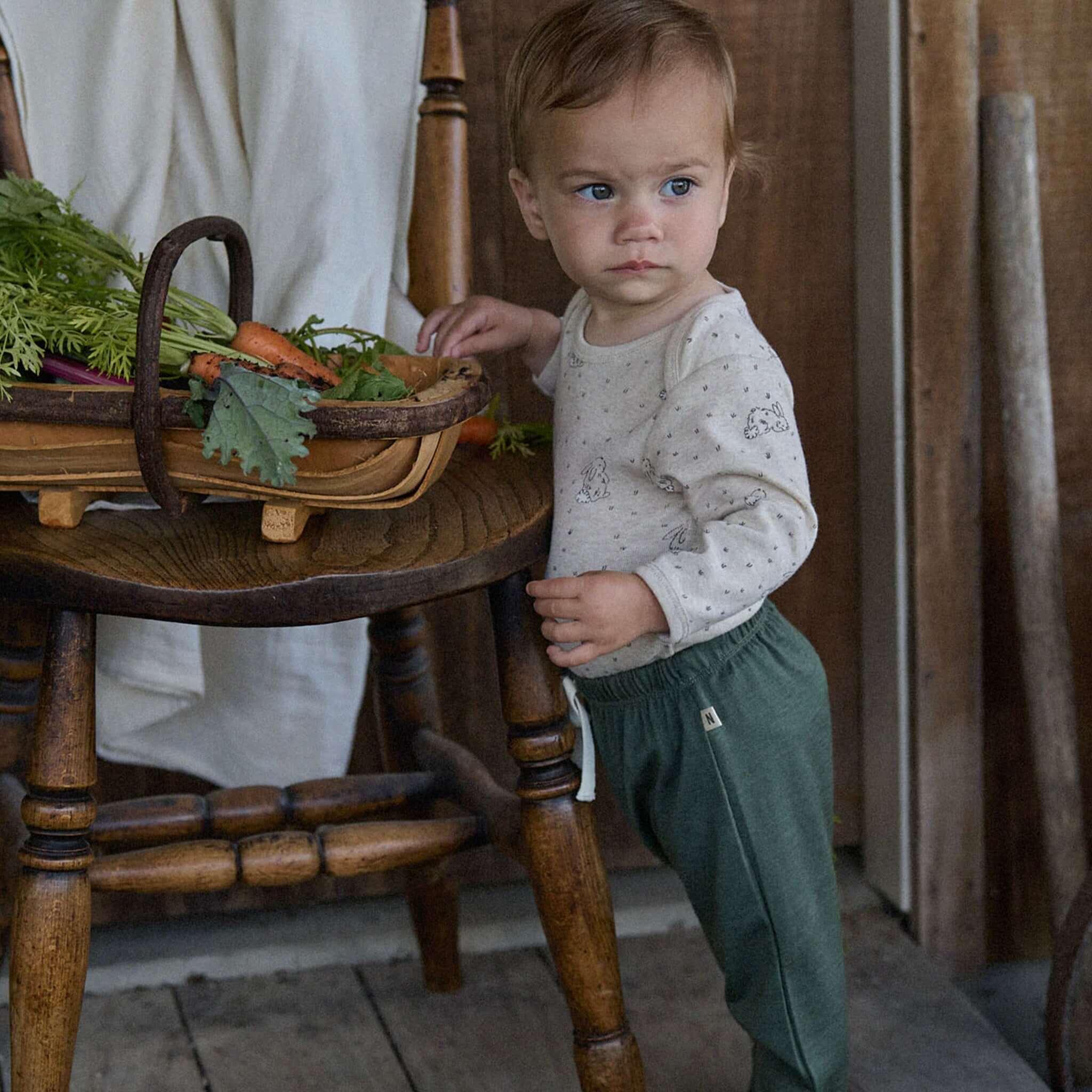 Alt Tag: Nature Baby Organic Cotton Long Sleeve Bodysuit - Bramble Burrow on baby, soft organic cotton long sleeve bodysuit