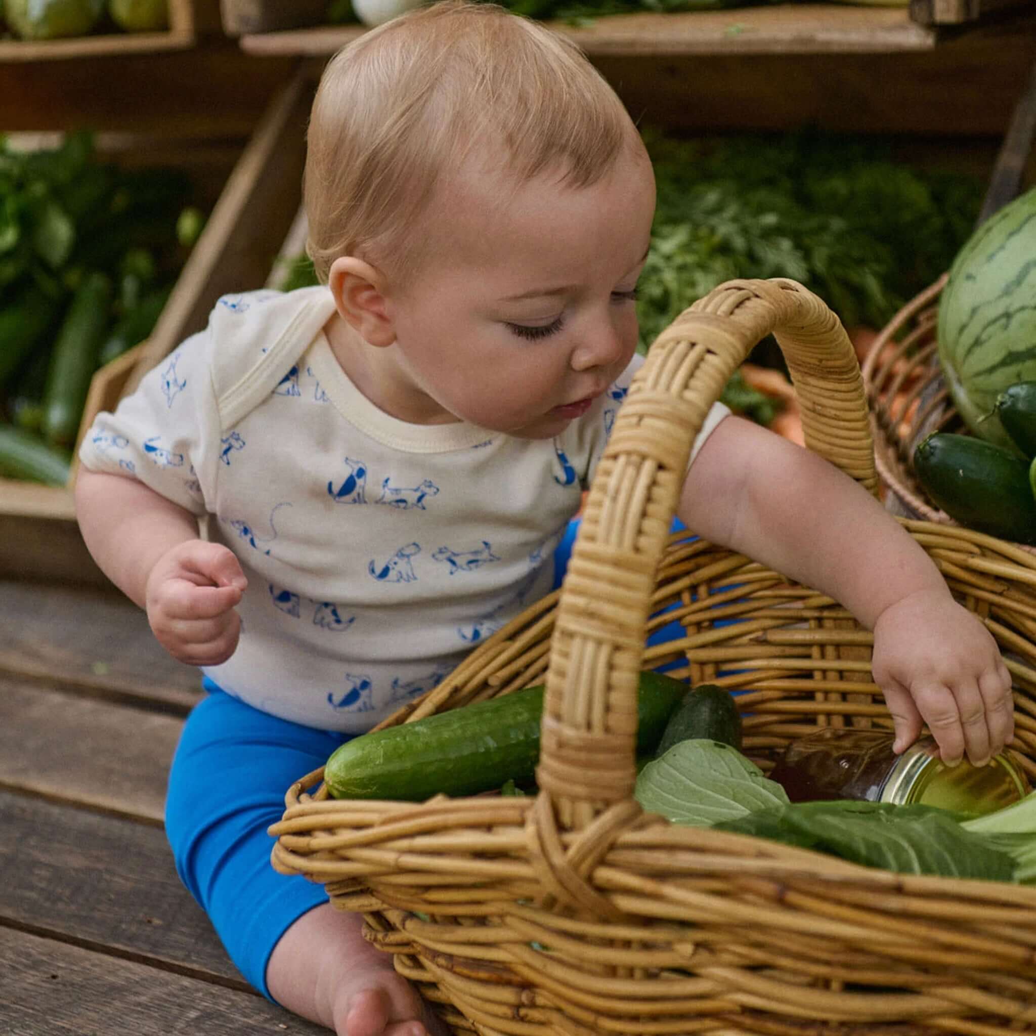 Baby exploring a basket of vegetables, wearing Nature Baby Organic Cotton Sunday Drawstring Pants - Mariner.