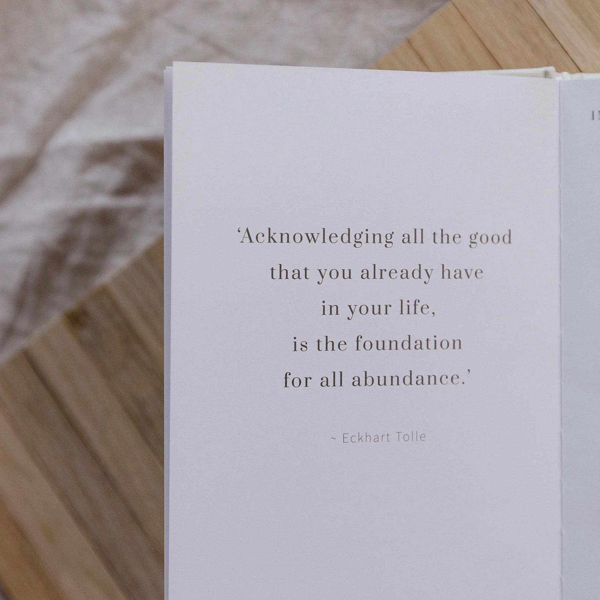 Olive + Page One Hundred Days of Gratitude Journal - Buttermilk