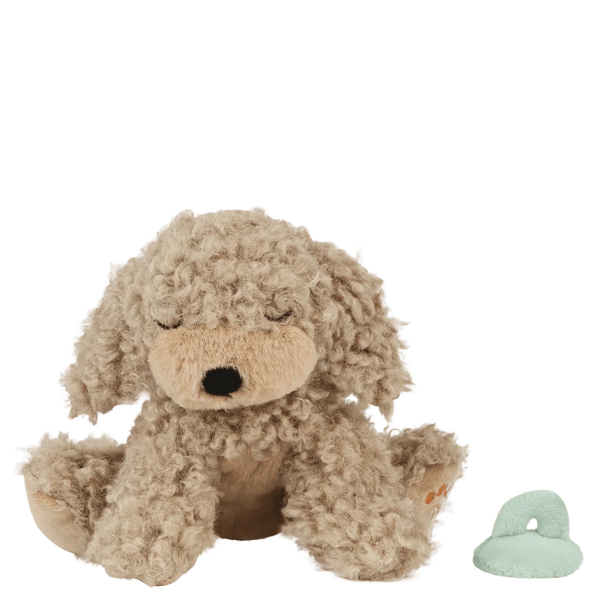 Plush dog toy with a small green rubber duck on a white background