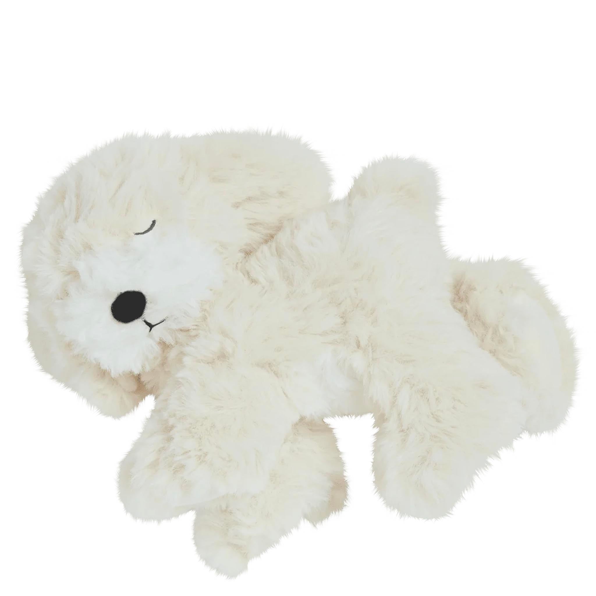 Plush toy dog with a white background