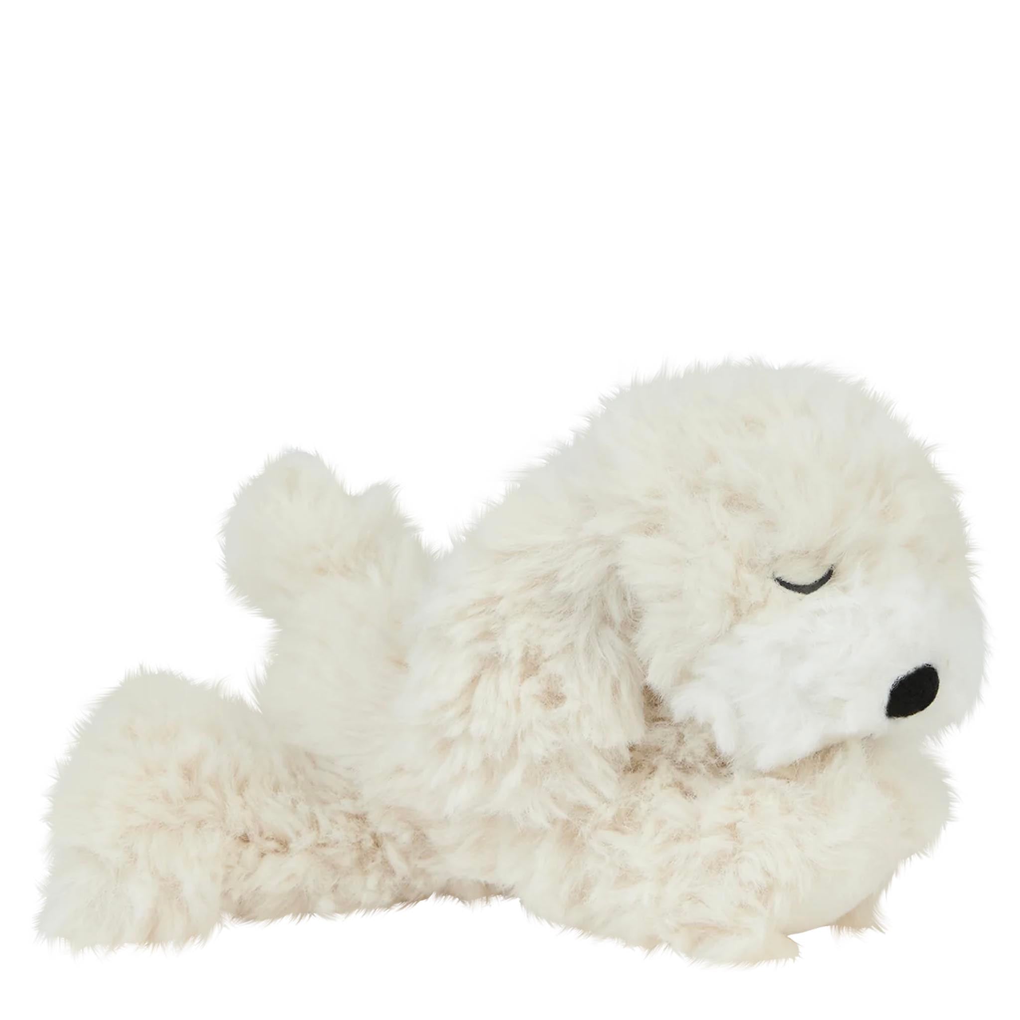 Plush toy dog on a white background