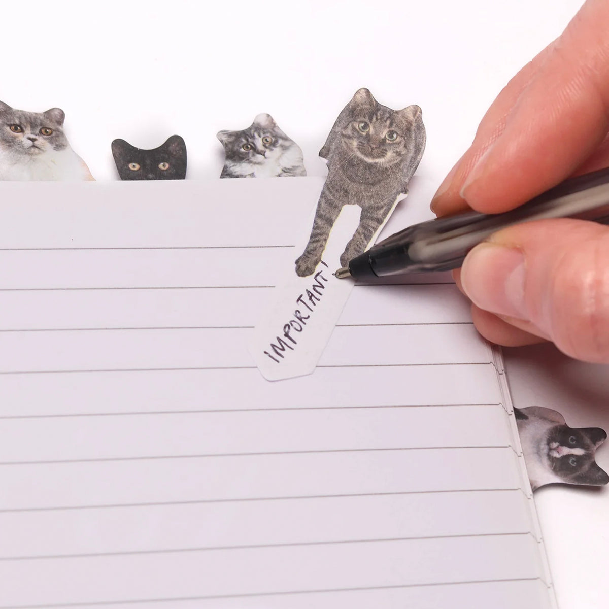 Pikkii Page Markers - Cat
