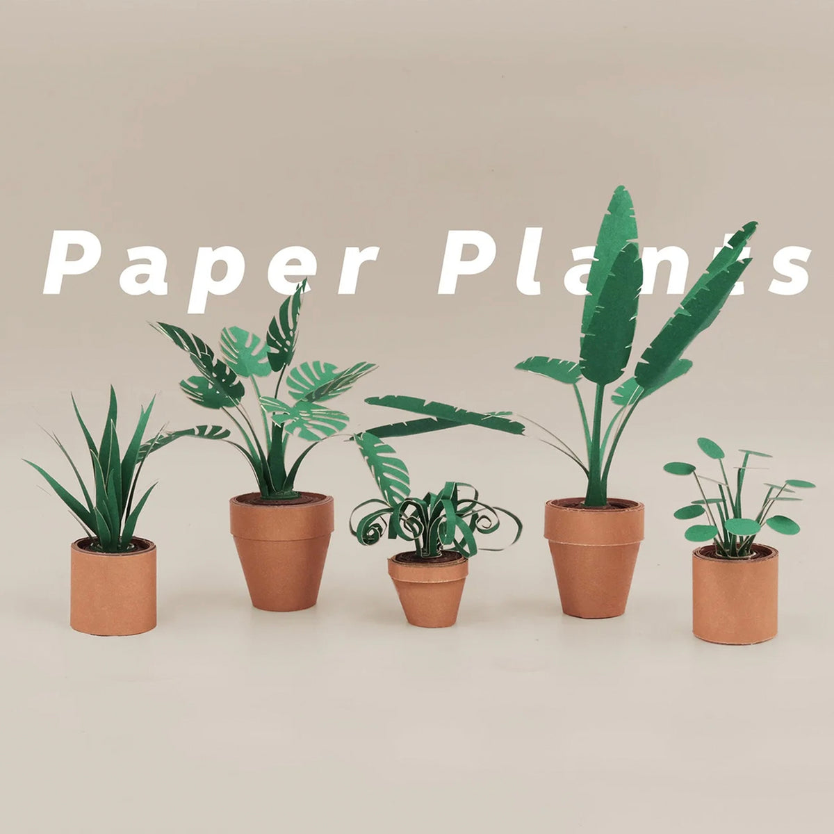 Pikkii Origami Paper Plants