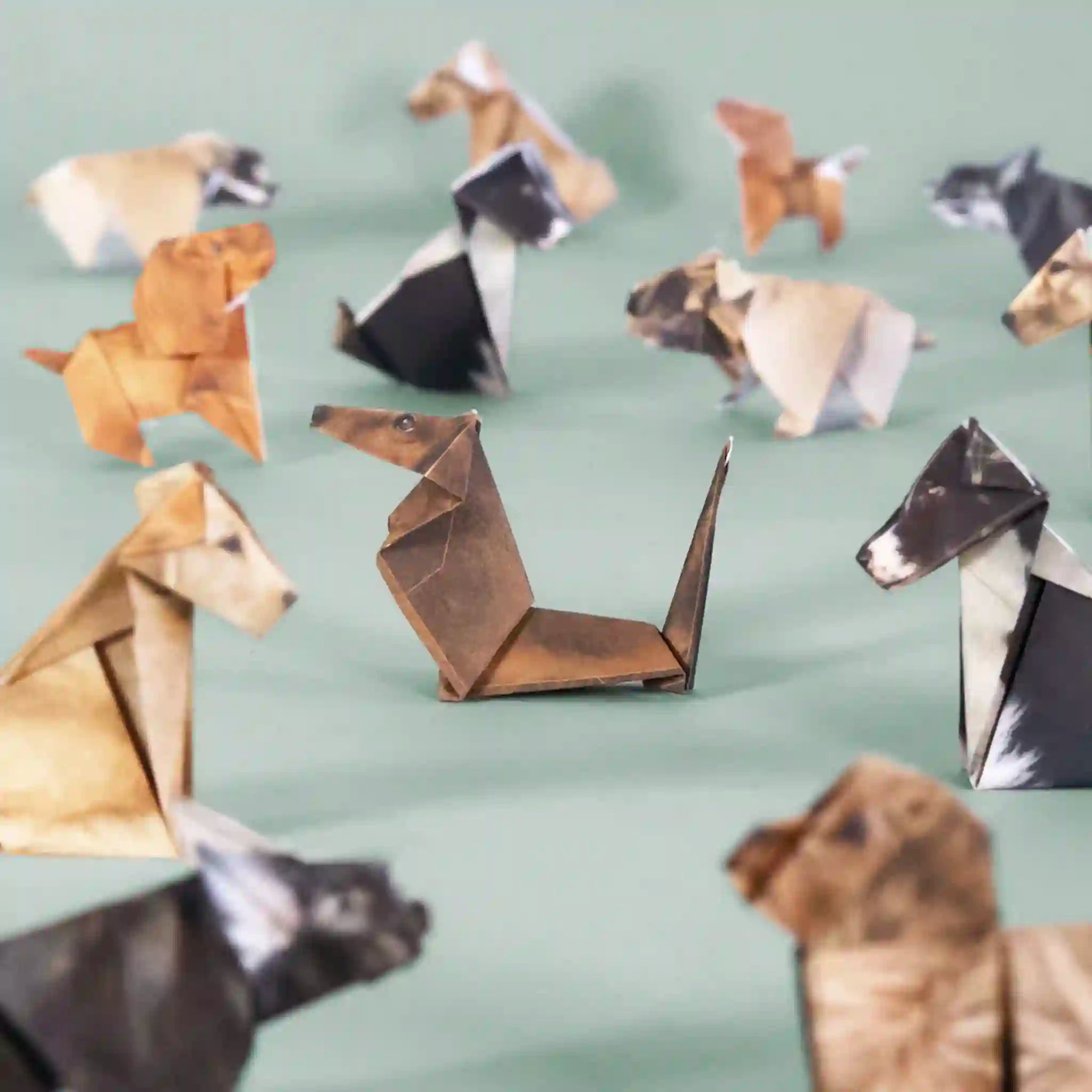 Collection of origami dogs on a light green background