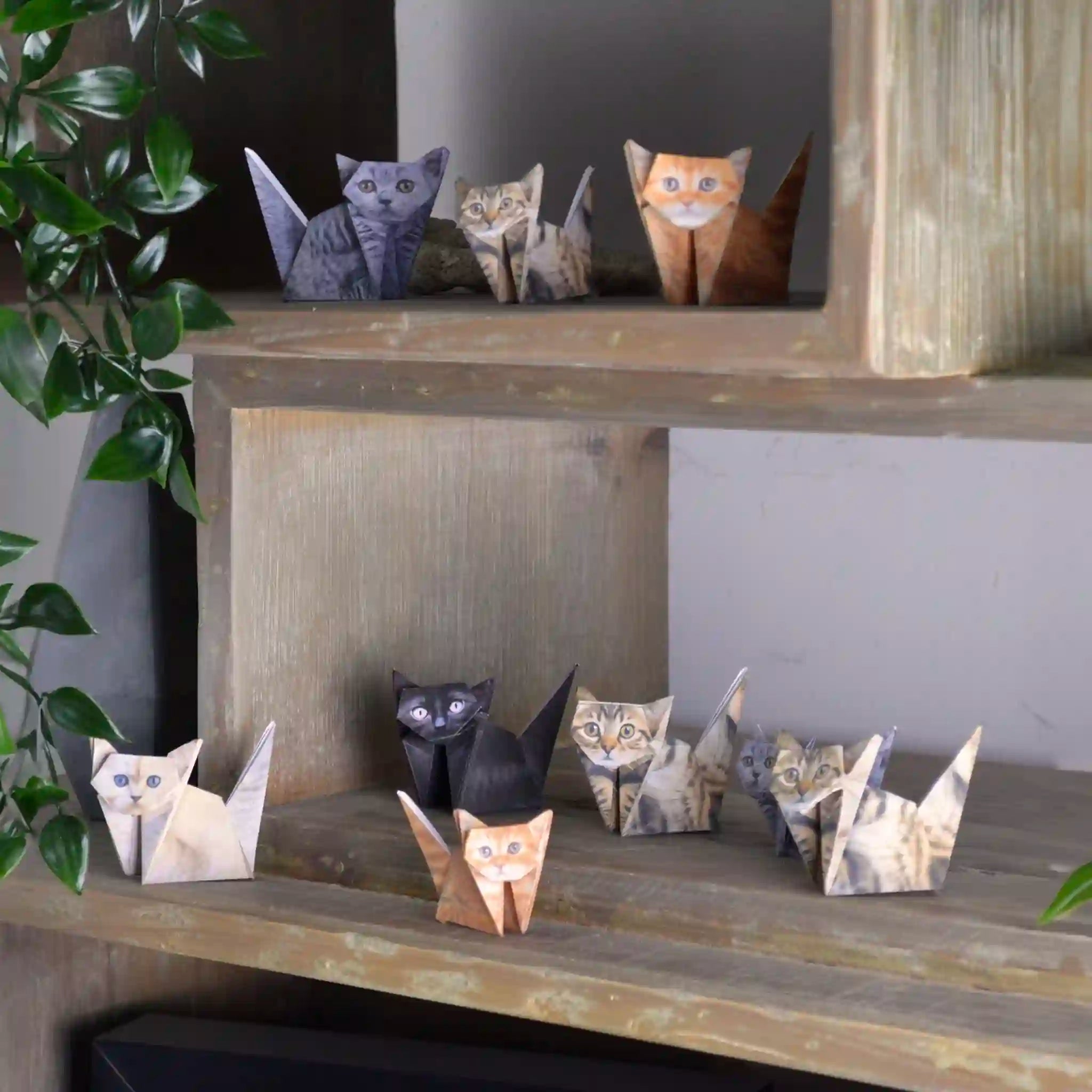 Collection of paper cat sculptures on a wooden shelf with a plant in the background.