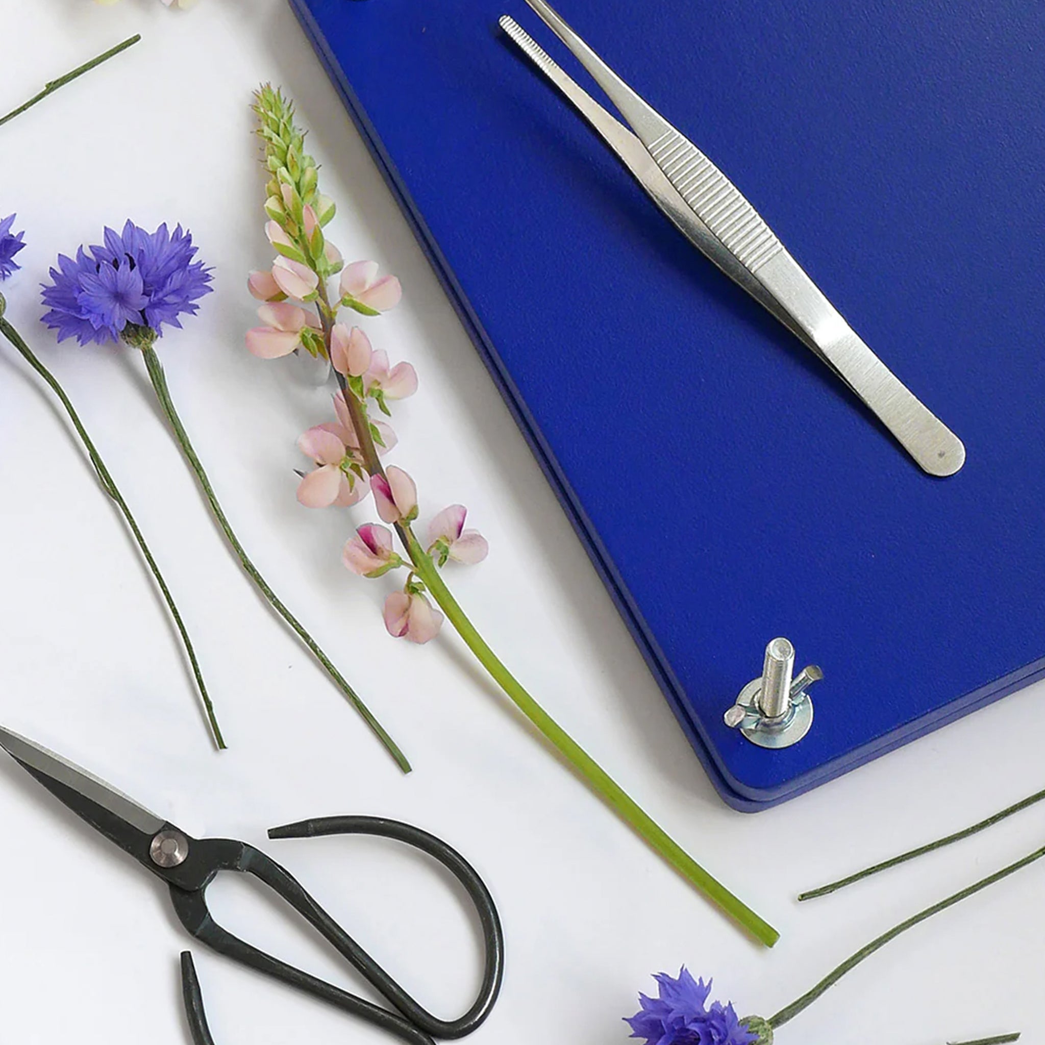 Printworks Flower Press Kit