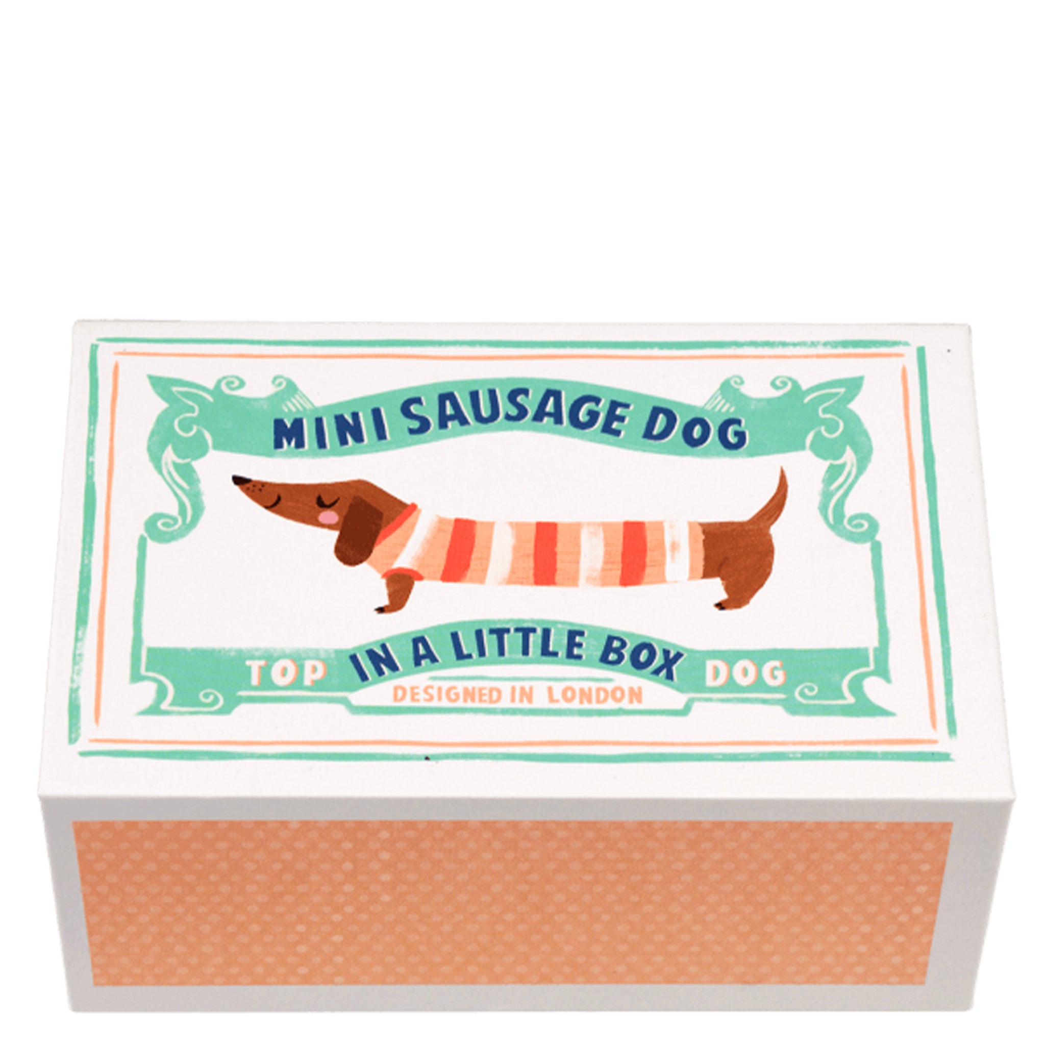 Miniature plush dog toy in a decorative box with text
