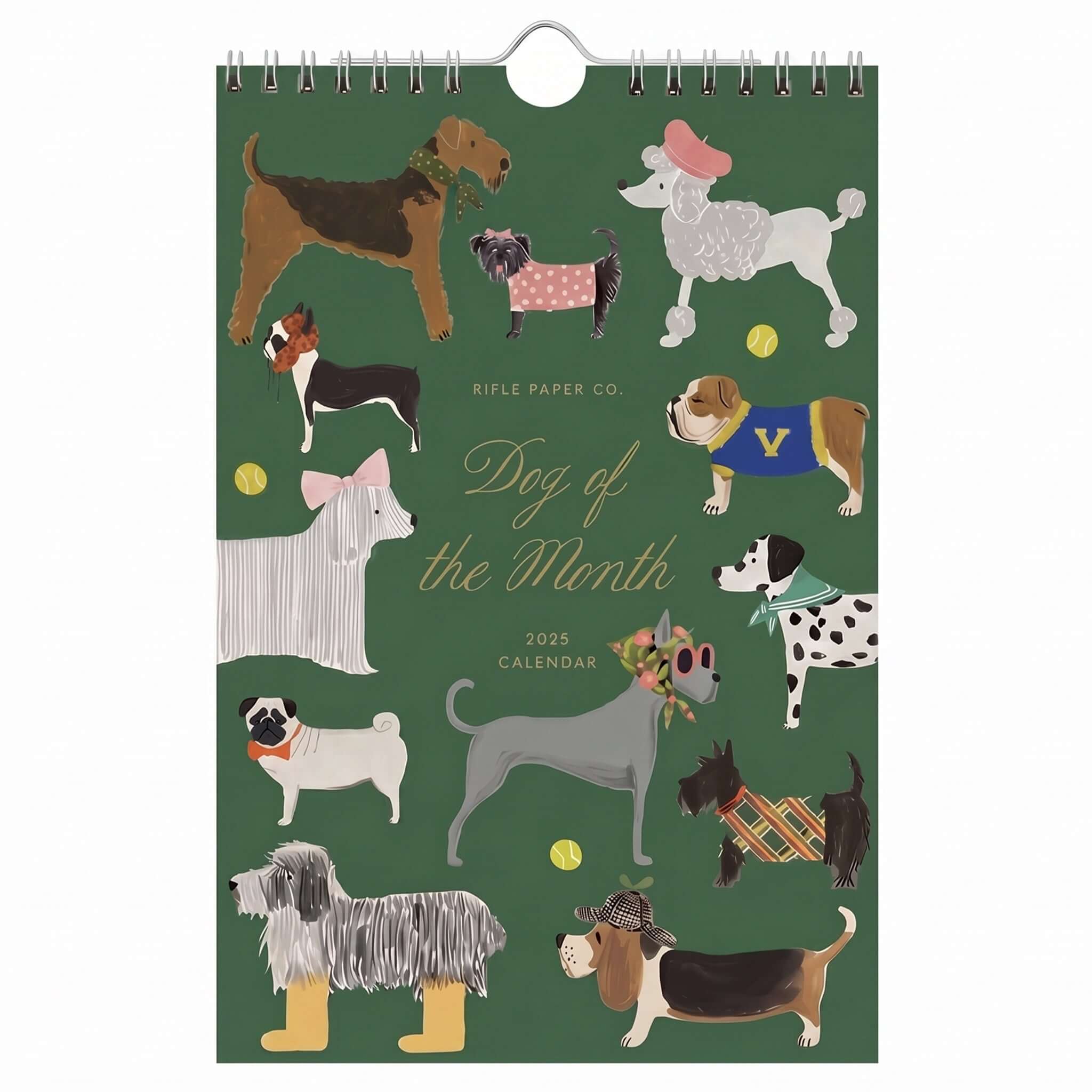 Rifle Paper 2027 Kitchen Calendar - Dog of the Month featuring illustrated dogs in playful outfits.