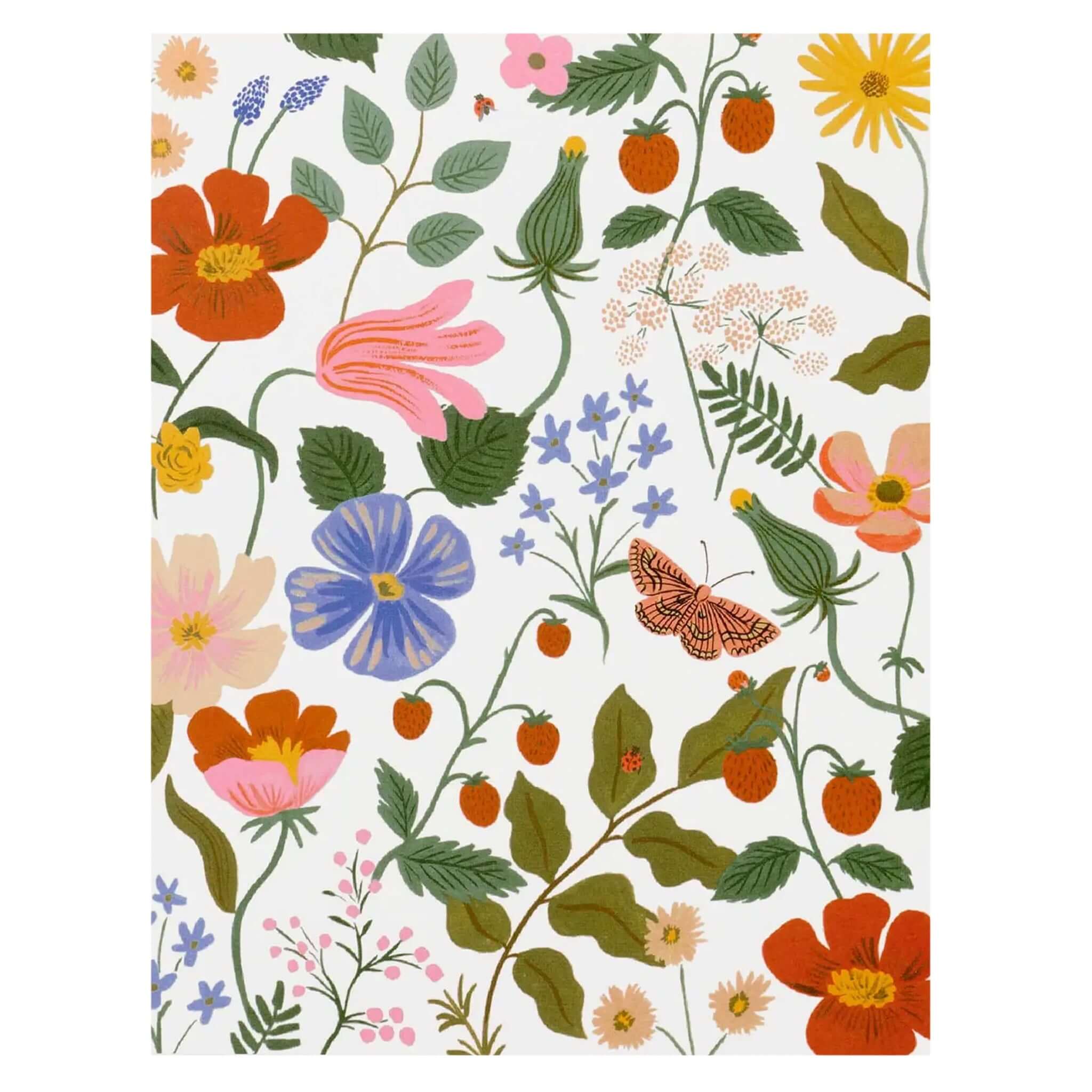 Rifle Paper US Card - Strawberry Fields Cream - Tea Pea Home