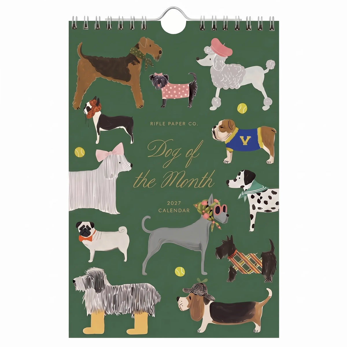 A 2025 wall calendar titled 'Dog of the Month' by Rifle Paper Co., featuring a dark green cover decorated with illustrated dogs in various breeds and outfits.