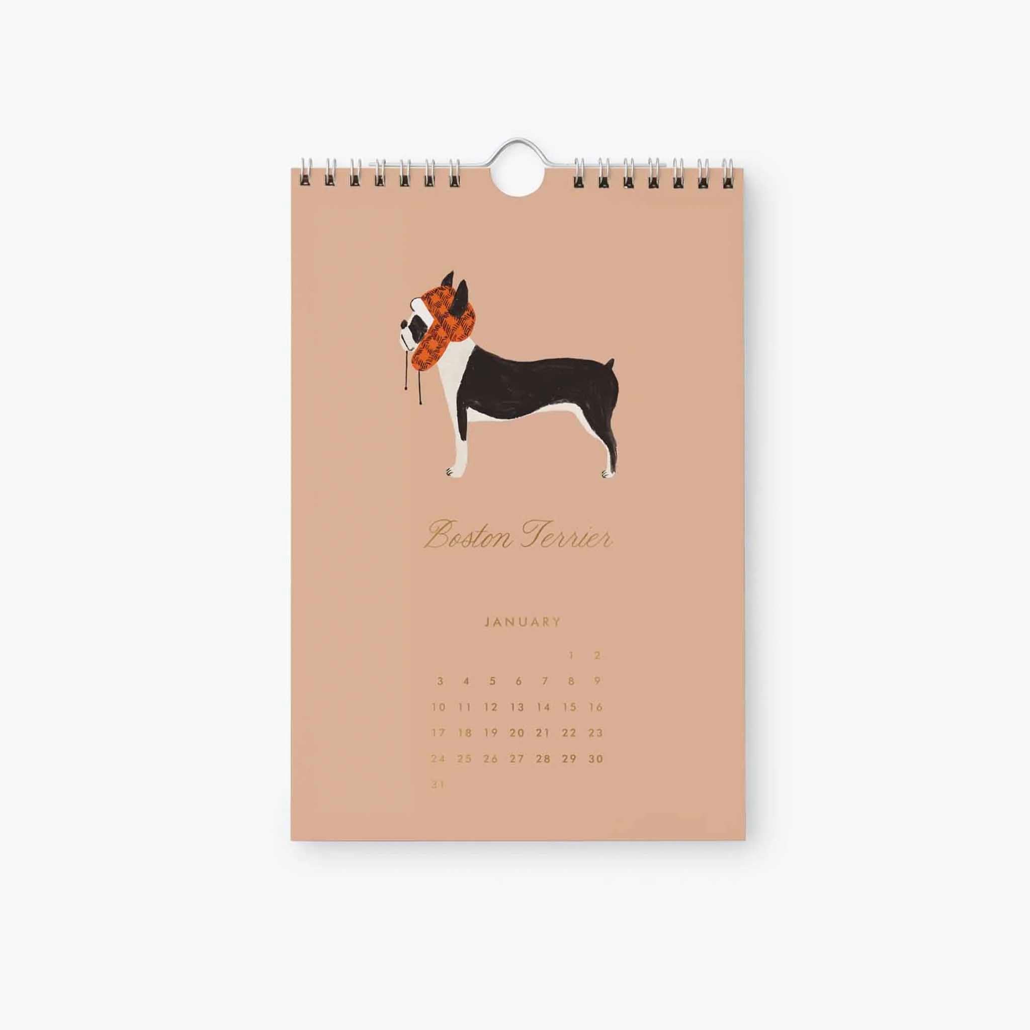 Rifle Paper 2027 Kitchen Calendar - Dog of the Month featuring a Boston Terrier for January.