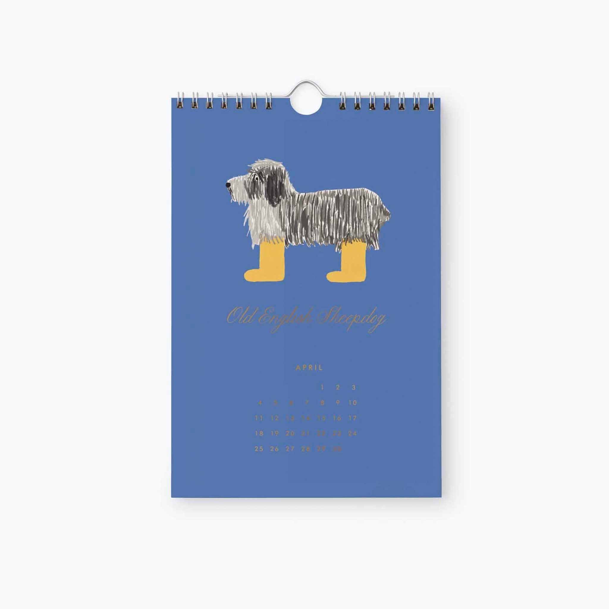 Rifle Paper 2027 Kitchen Calendar - Dog of the Month illustration of Old English Sheepdog for April