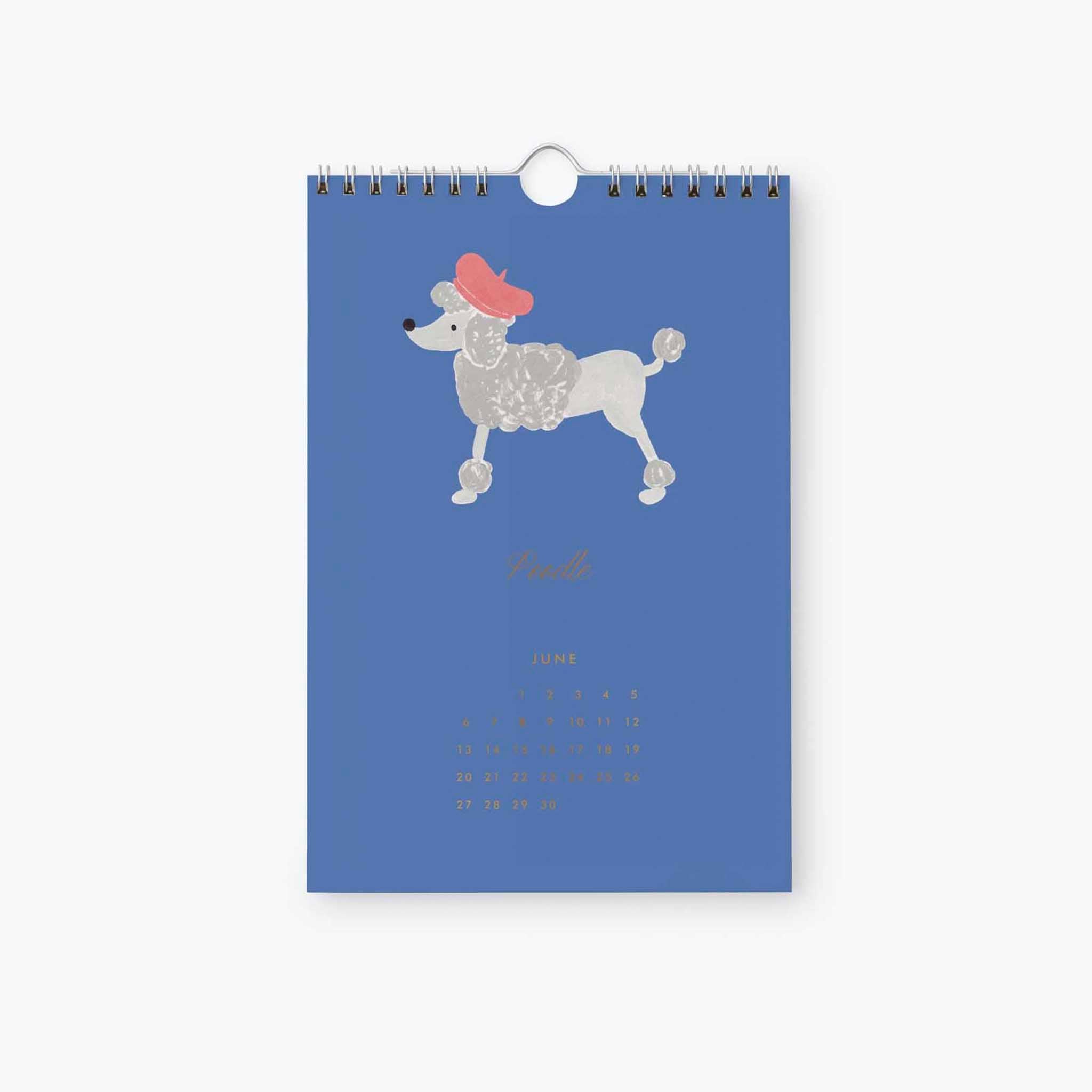 Rifle Paper 2027 Kitchen Calendar - Dog of the Month featuring a stylish poodle illustration for June.