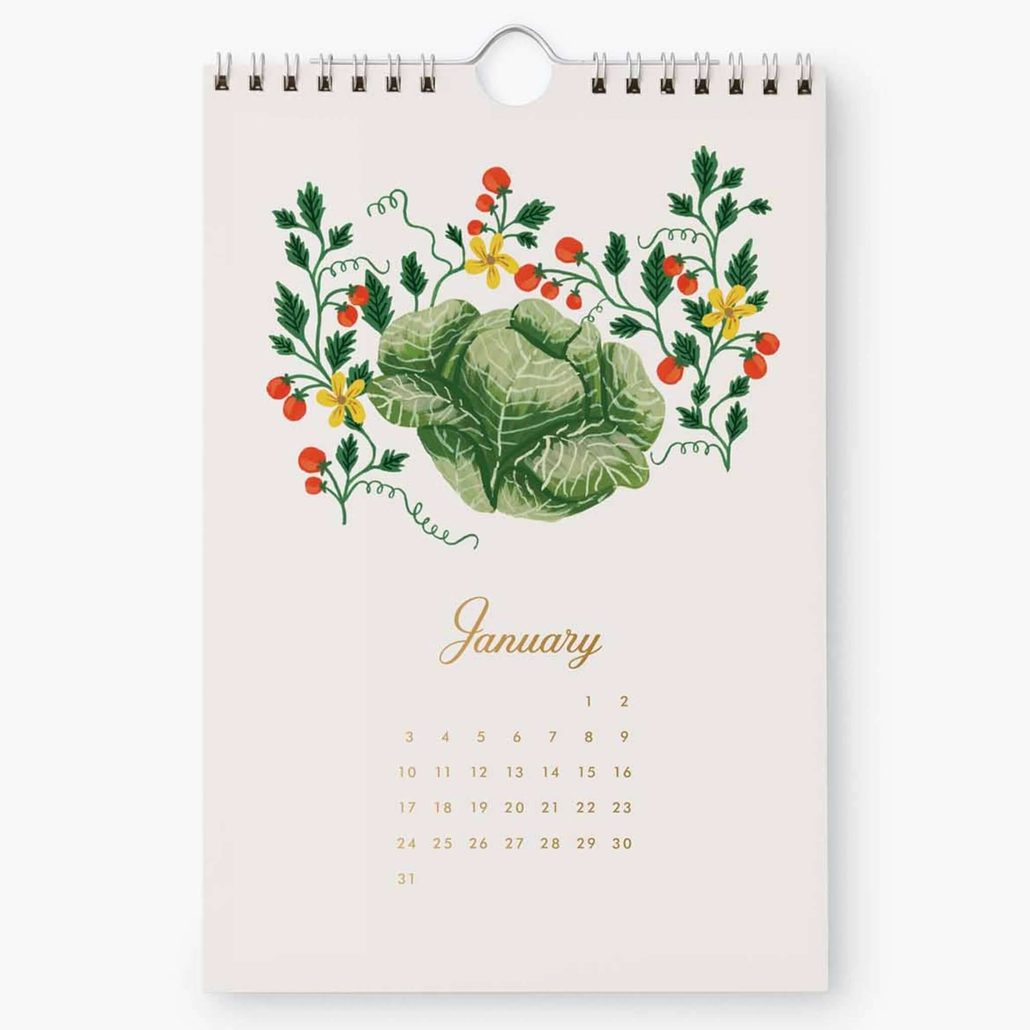Rifle Paper 2027 Kitchen Calendar - Garden Study featuring January's cabbage and cherry tomatoes illustration.
