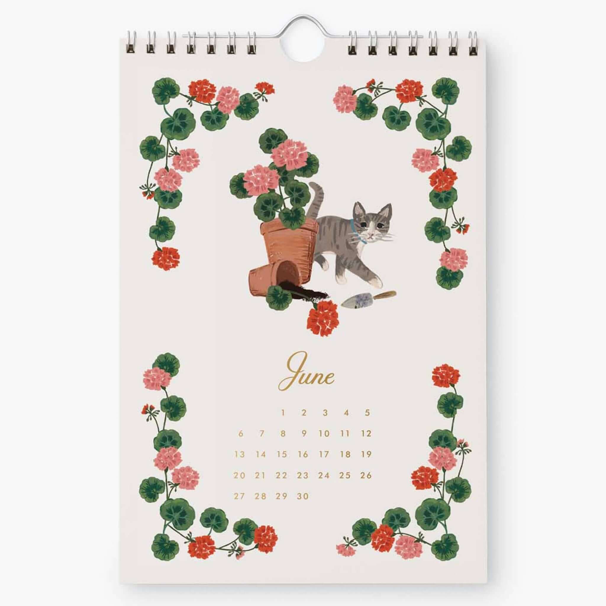 Rifle Paper 2027 Kitchen Calendar - Garden Study featuring June illustration with a cat and flowers.