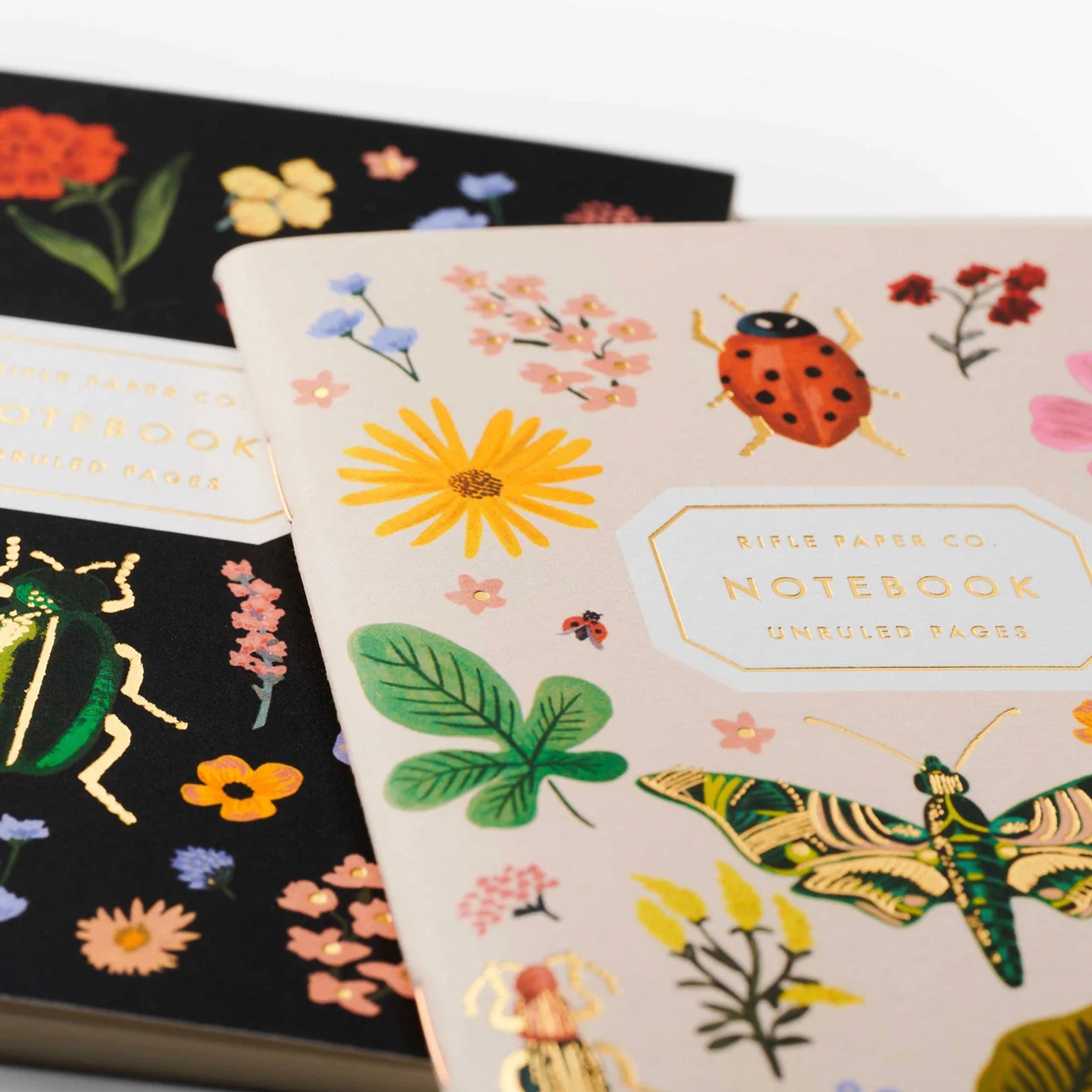 Rifle Paper Pocket Notebook Set - Curio
