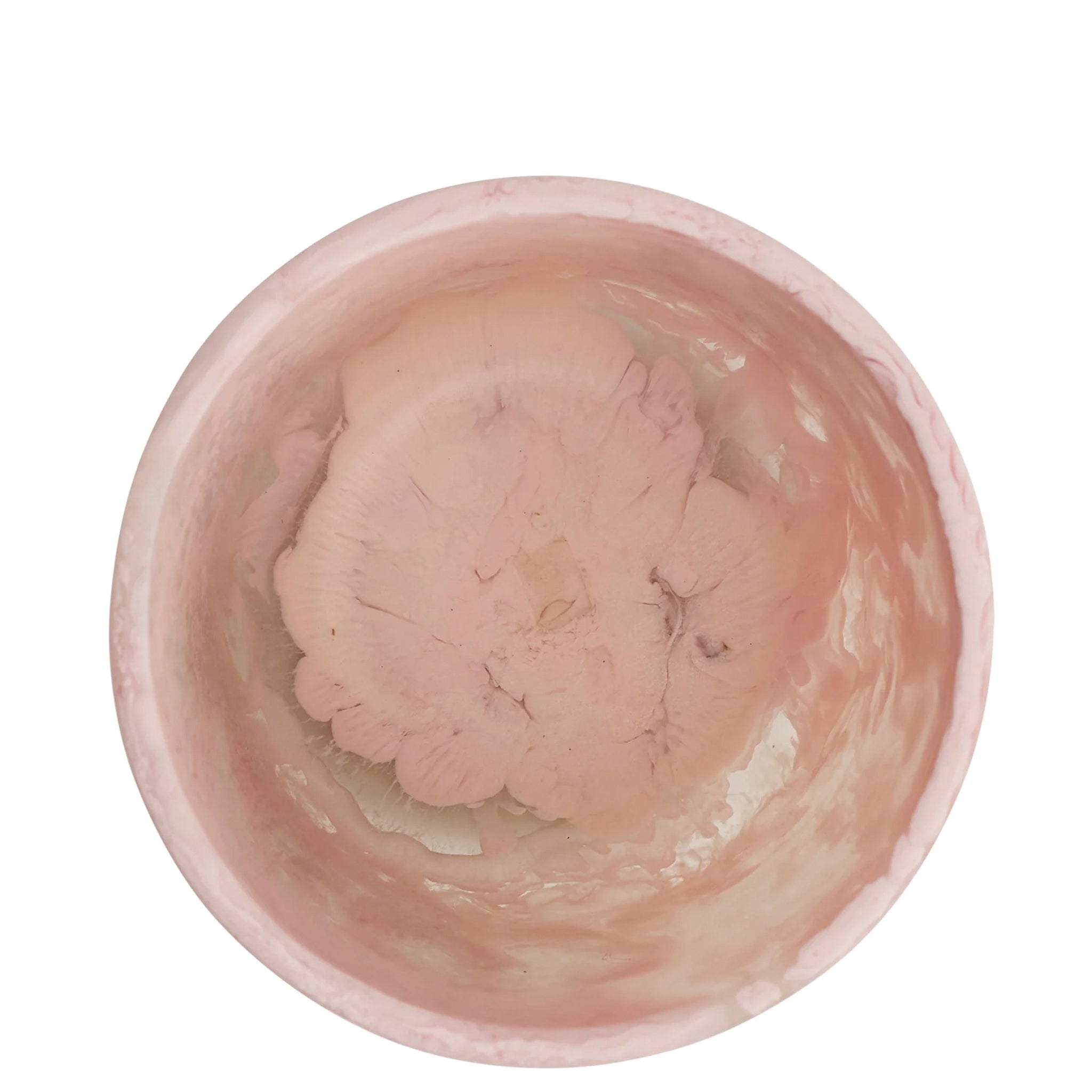 Sage x Clare Resin Amisha Vase - Posy