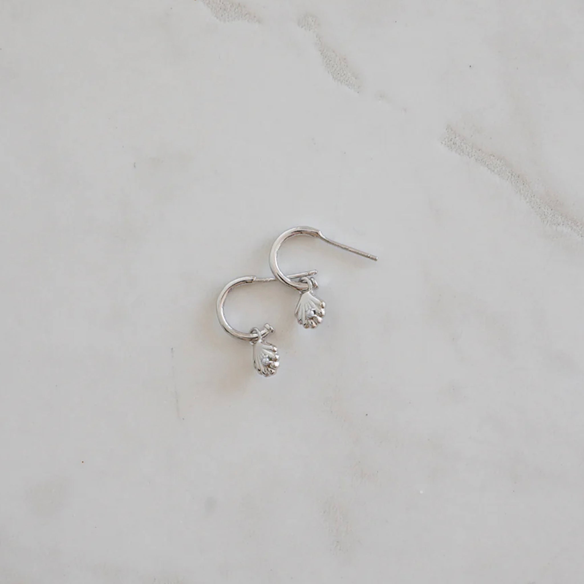 Sophie She Shell Hoop Stud Earrings