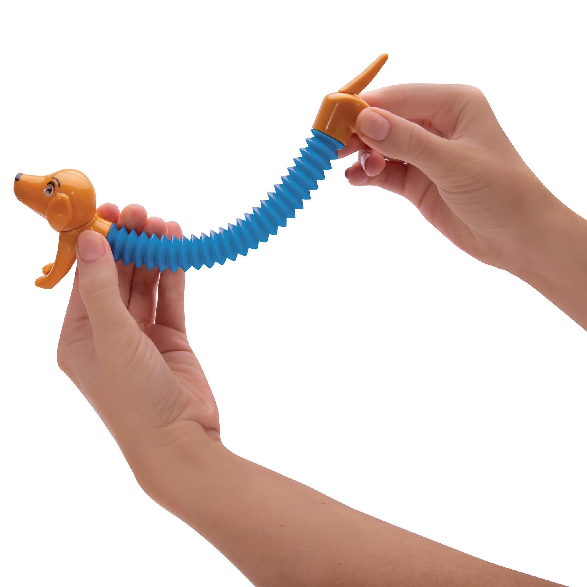 Springy Sausage Dog Toys Not specified 