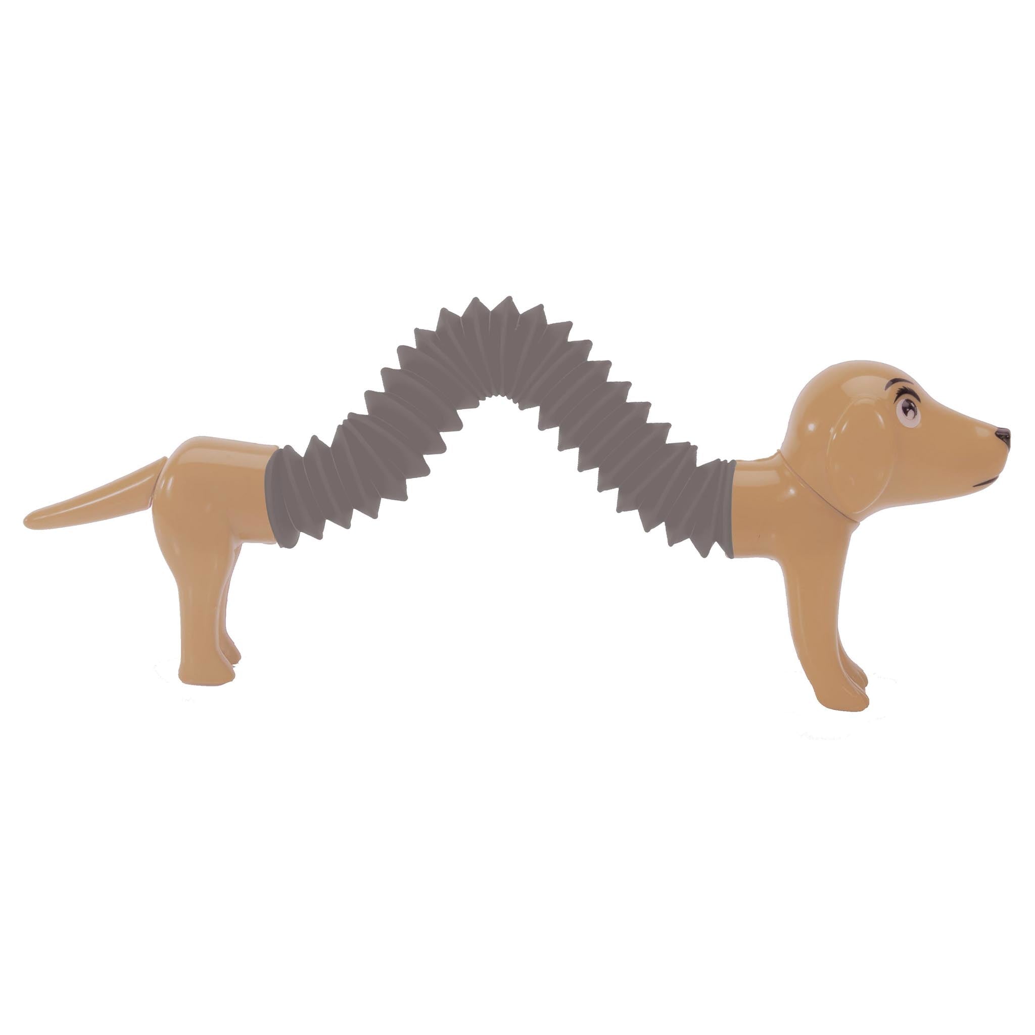 Springy Sausage Dog Toys Not specified 