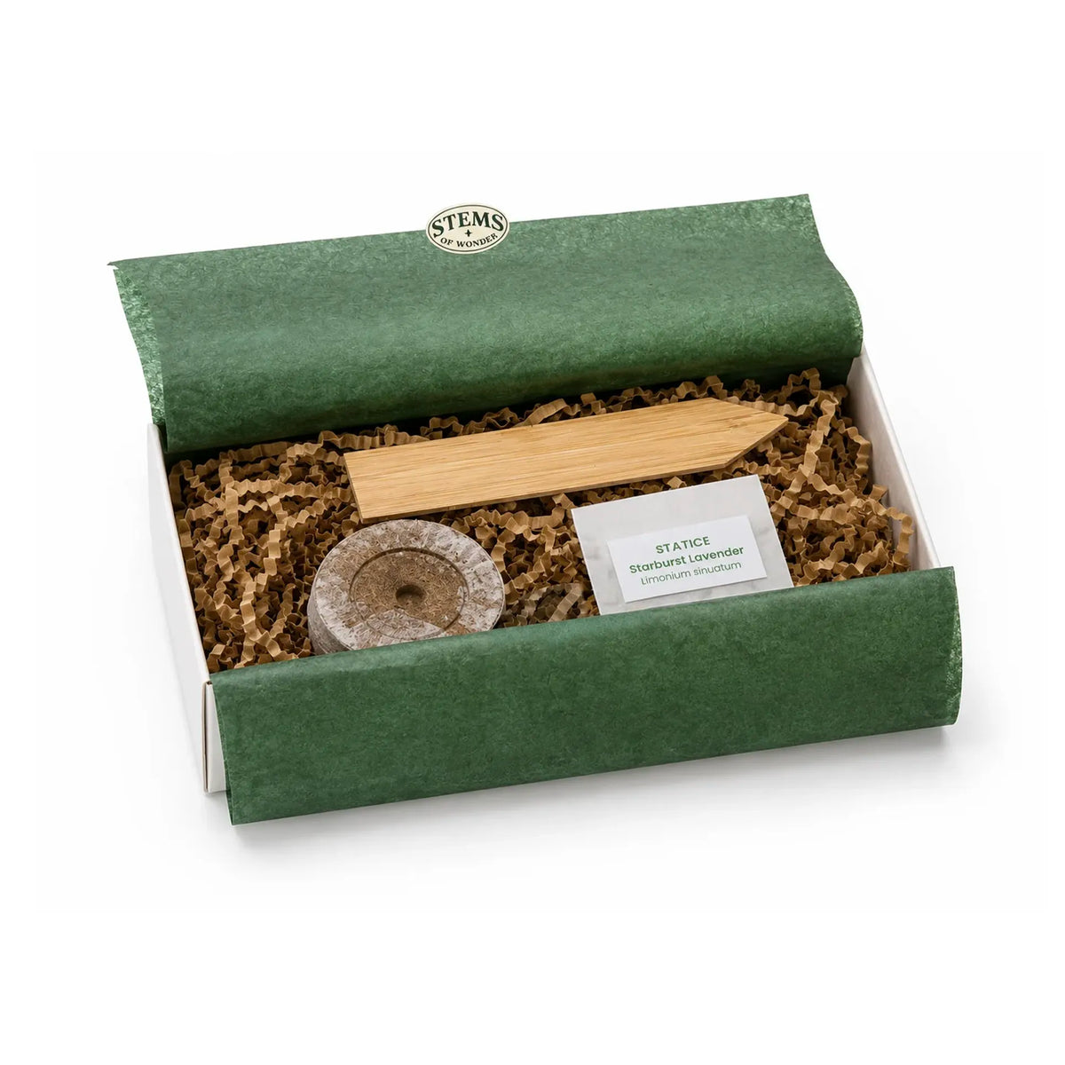 Stems of Wonder Everyday Wonders Seed Kit