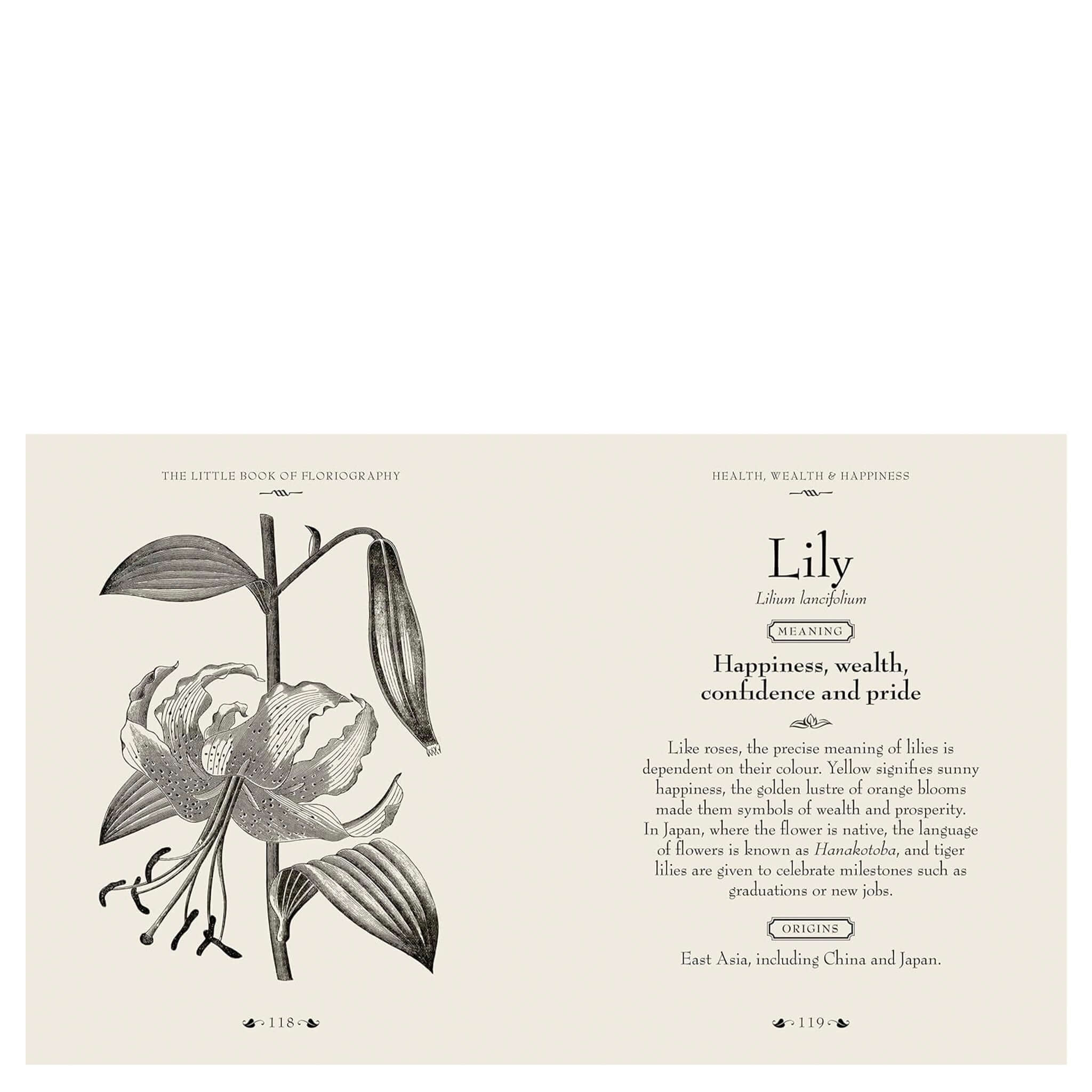 The Little Book of Floriography - The Secret Language of Flowers open page featuring lily illustration and meaning of happiness, wealth