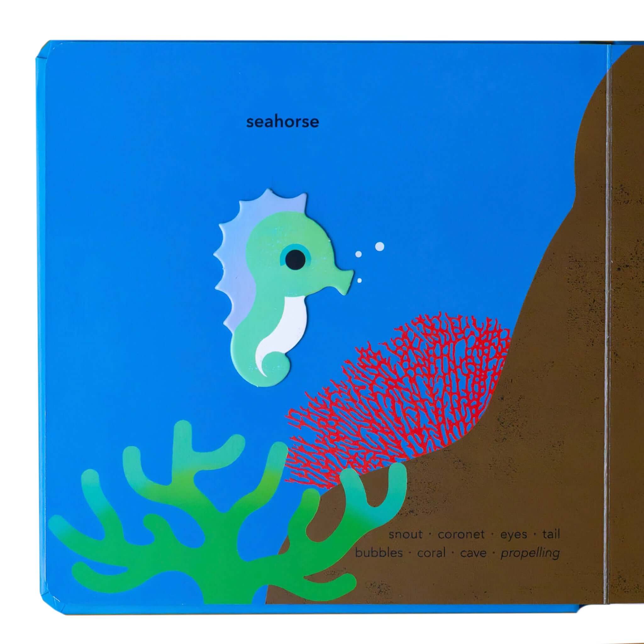 Touch Think Learn: Underwater book page showcasing a colorful seahorse and coral illustration.