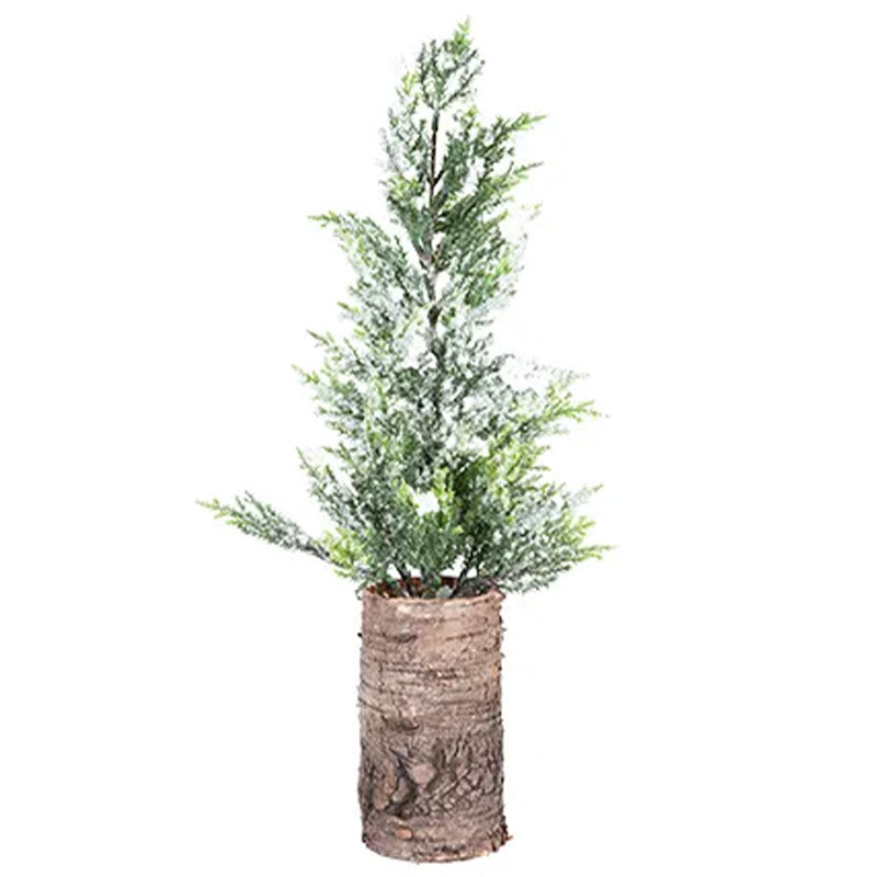 Potted tree with a natural bark pot on a white background