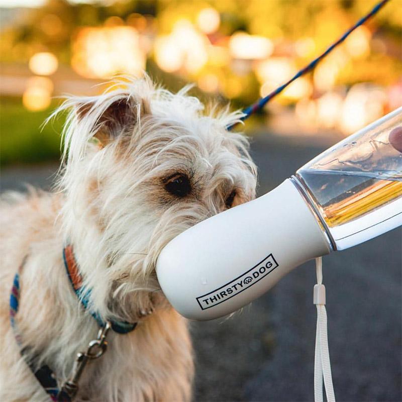 Thirsty Dog Drink Bottle - White - Tea Pea Home