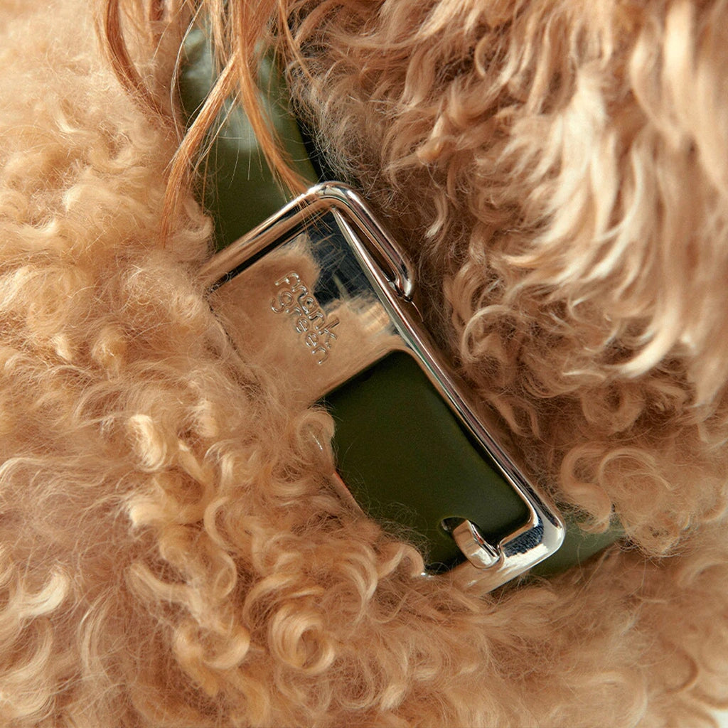 Frank Green Pet Collar with Name Tag - Lilac Haze - Tea Pea Home