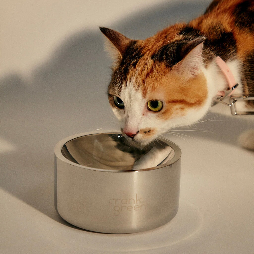 Frank Green Stainless Steel Pet Bowl - Tea Pea Home