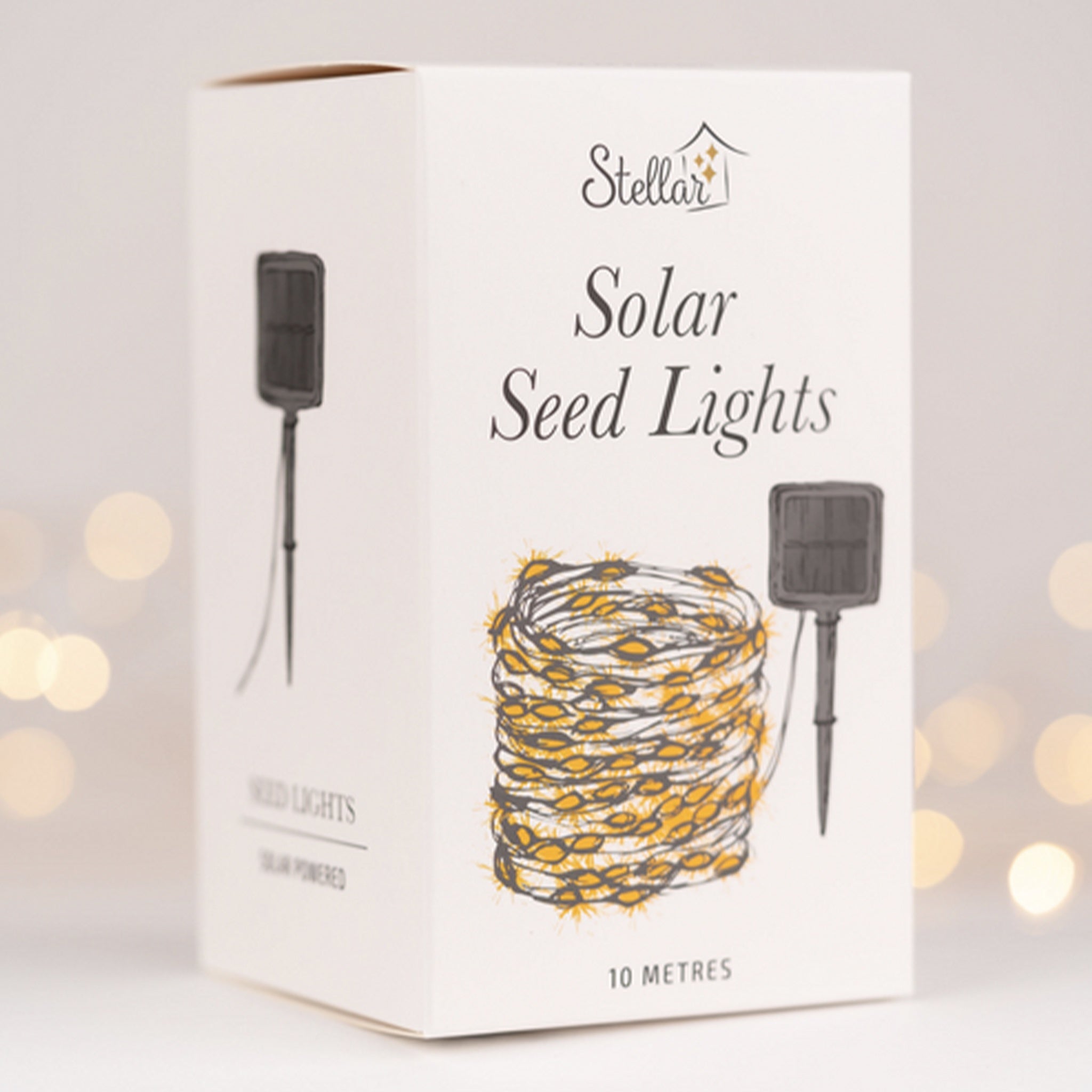 Solar LED Seed Lights - Silver - Tea Pea Home