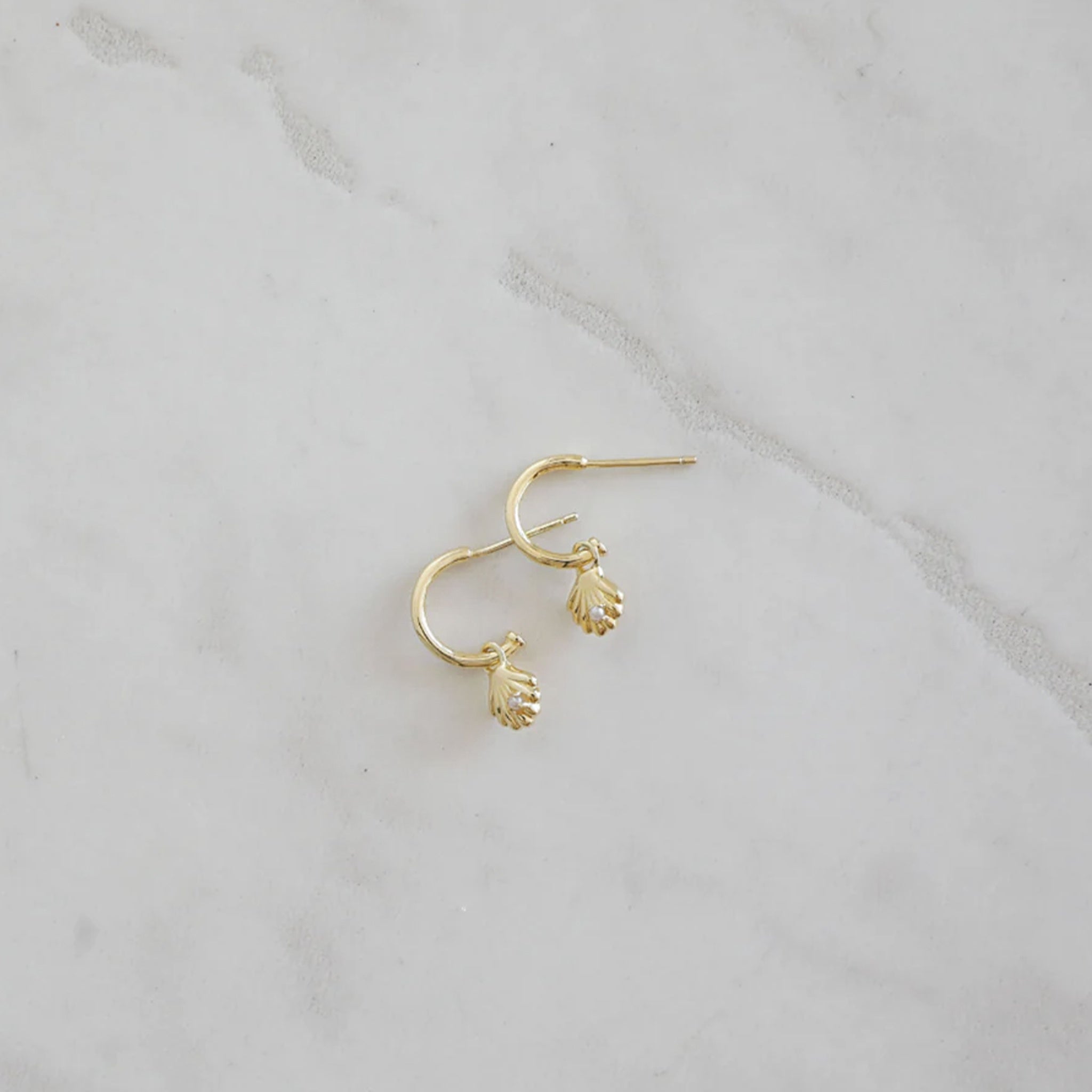 Sophie She Shell Hoop Stud Earrings